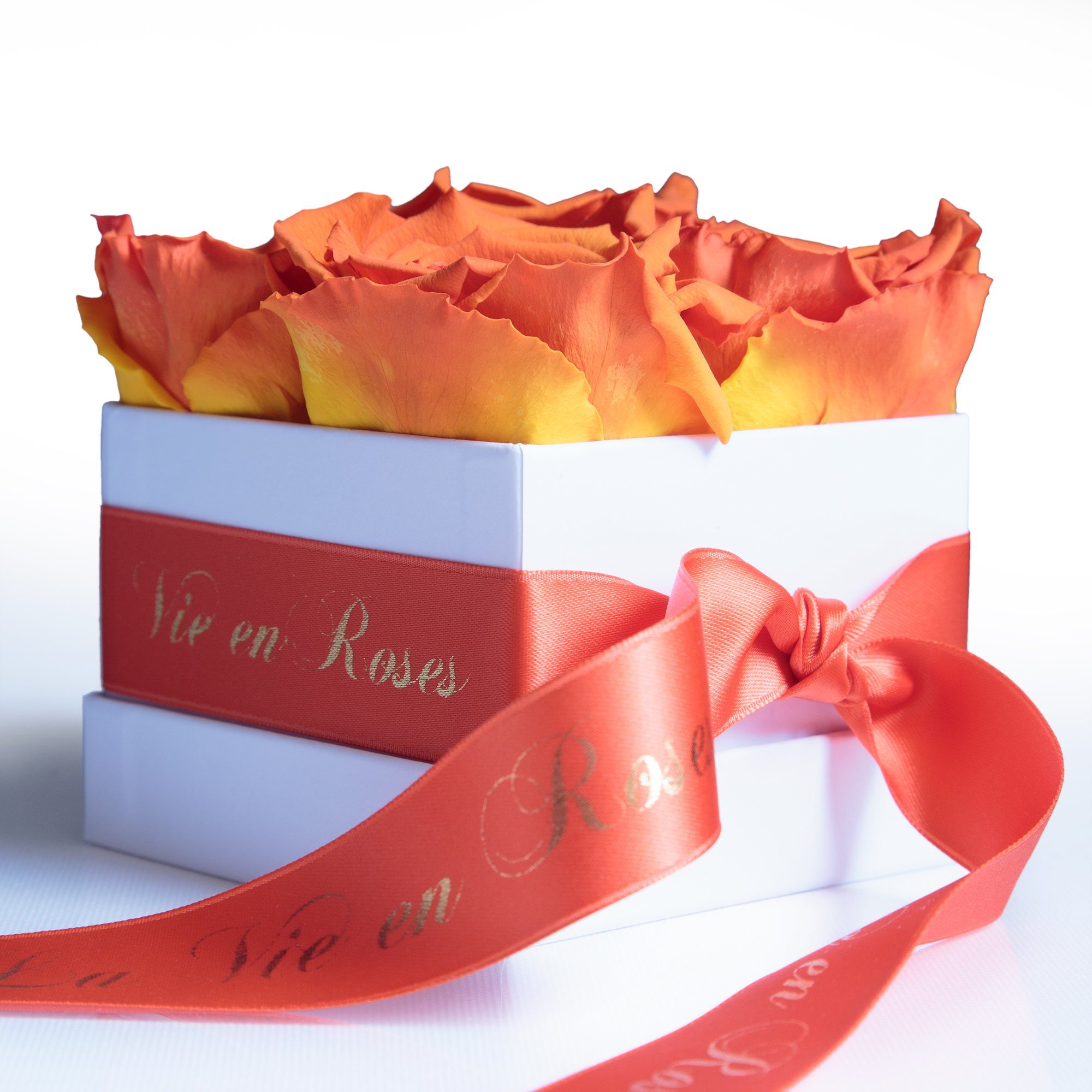 Kunstblume Rosenbox weiß Infinity Rosen Poesie Deko Geschenk für Damen Rose, ROSEMARIE SCHULZ Heidelberg, Höhe 8.5 cm, für Frauen zum Valentinstag orange