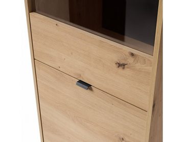 MOEBLO Vitrine KERI KWT53 (Gehärtetes Glas, Griffe und Füße aus Metall, Schrank für Wohnzimmer mit Türen Vitrinenschrank Glasvitrine) (BxHxT): 53x197x39 cm