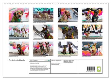 CALVENDO Wandkalender Coole bunte Hunde (Premium, hochwertiger DIN A2 Wandkalender 2023, Kunstdruck in Hochglanz)