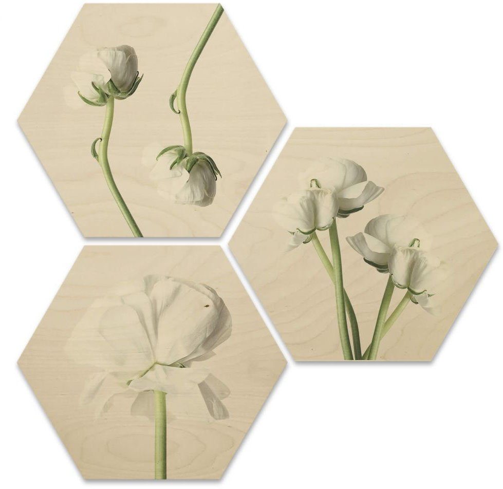 Collage, 3 Bilder Maiglöckchen Blumen Wall-Art Mehrteilige (Set, St)