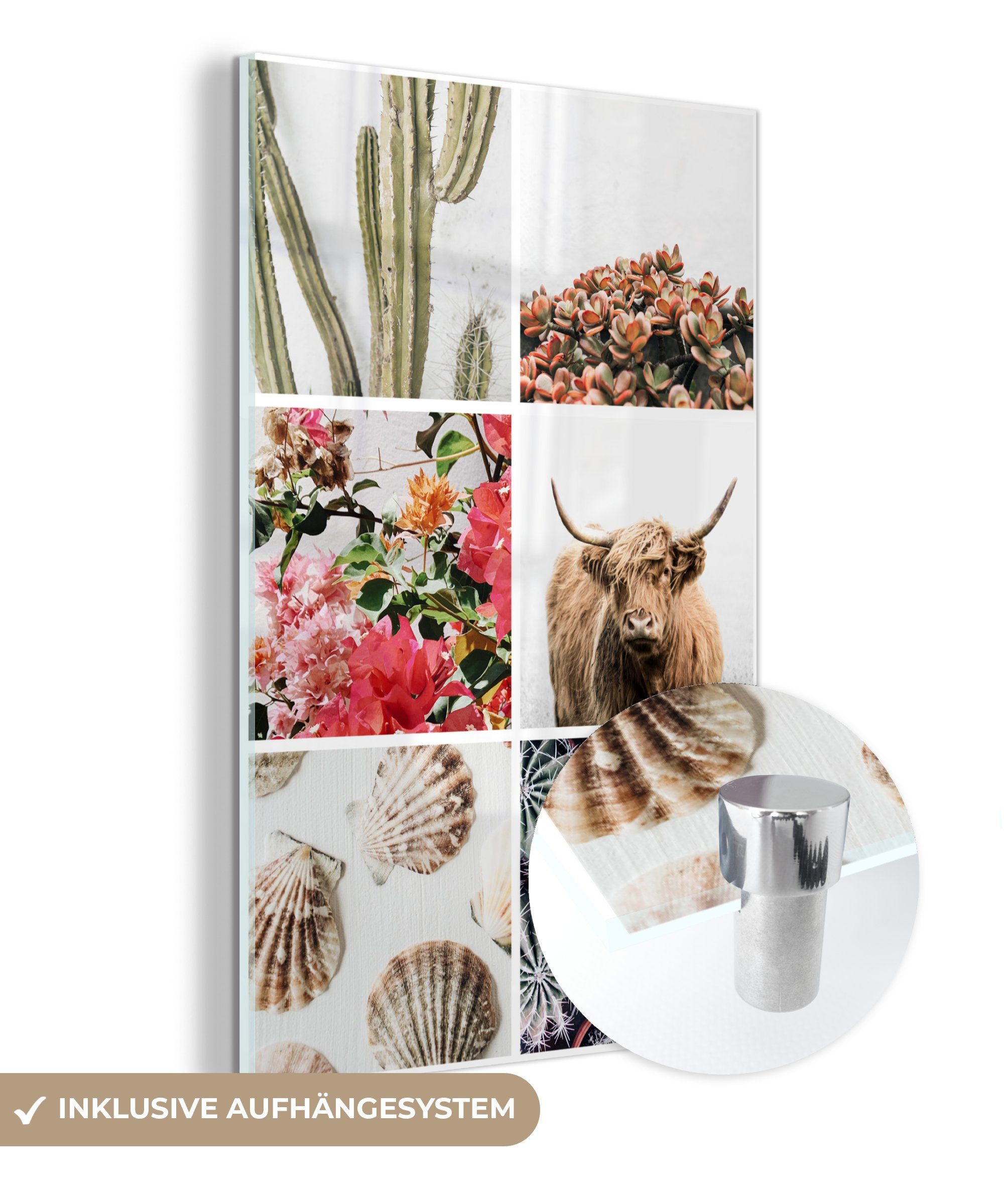 MuchoWow Acrylglasbild Schottischer Highlander - Collage Foto - Blumen Wanddekoration Glasbilder - St), Wandbild Glas - Glas - auf Bilder Kaktus, auf (1 
