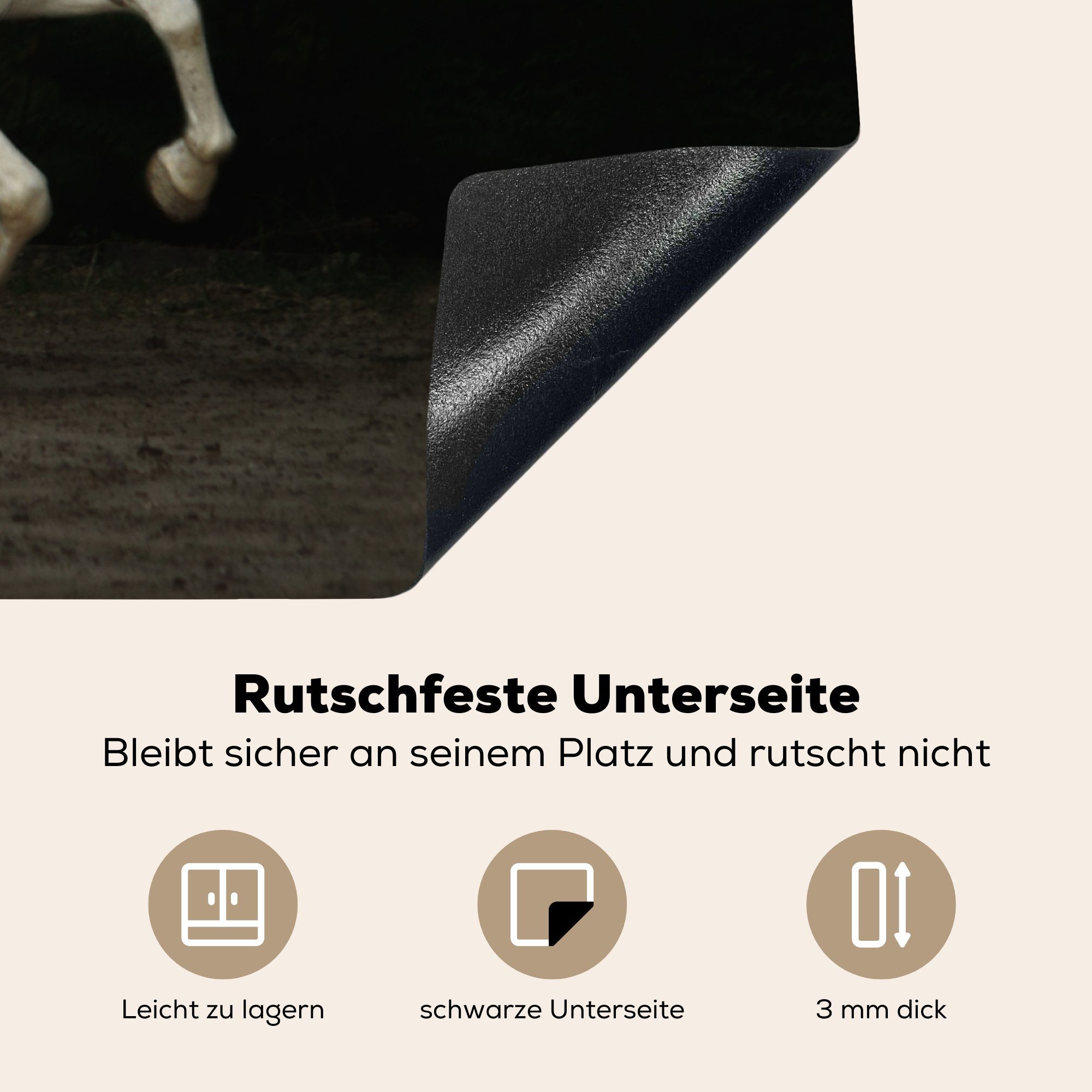 cm, tlg), Pferd (1 Weiß, MuchoWow Schutz - küche, die Ceranfeldabdeckung Vinyl, für 81x52 - Herdblende-/Abdeckplatte Sand Induktionskochfeld