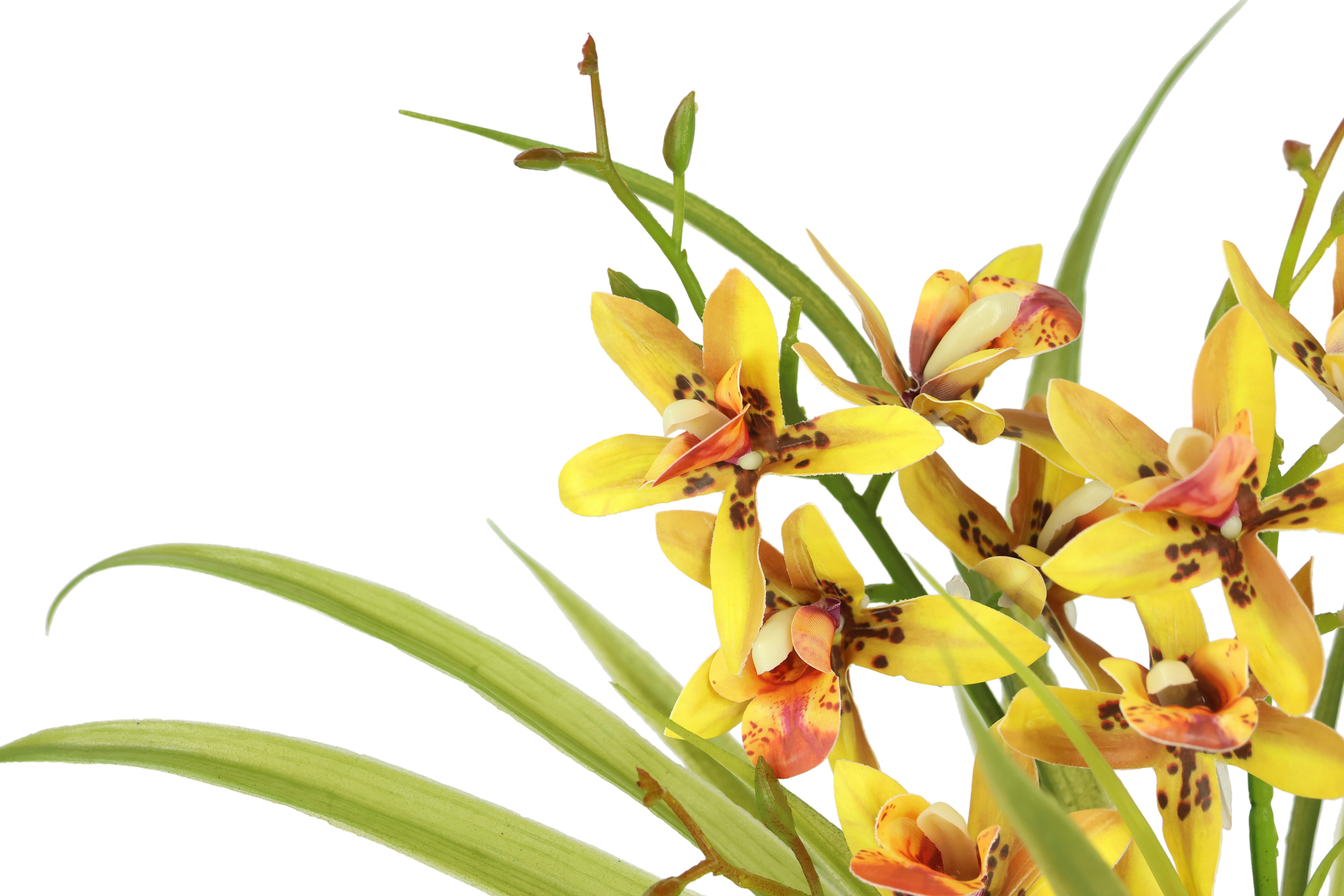 Kunstblume Kunstblume Schmetterling Orchidee mit Keramiktopf, I.GE.A., Höhe 38 cm, Mit Blätter Luftwurzeln Blume Kunstorchidee Phalaenopsis Kunstpflanze – Bild 2 von 3