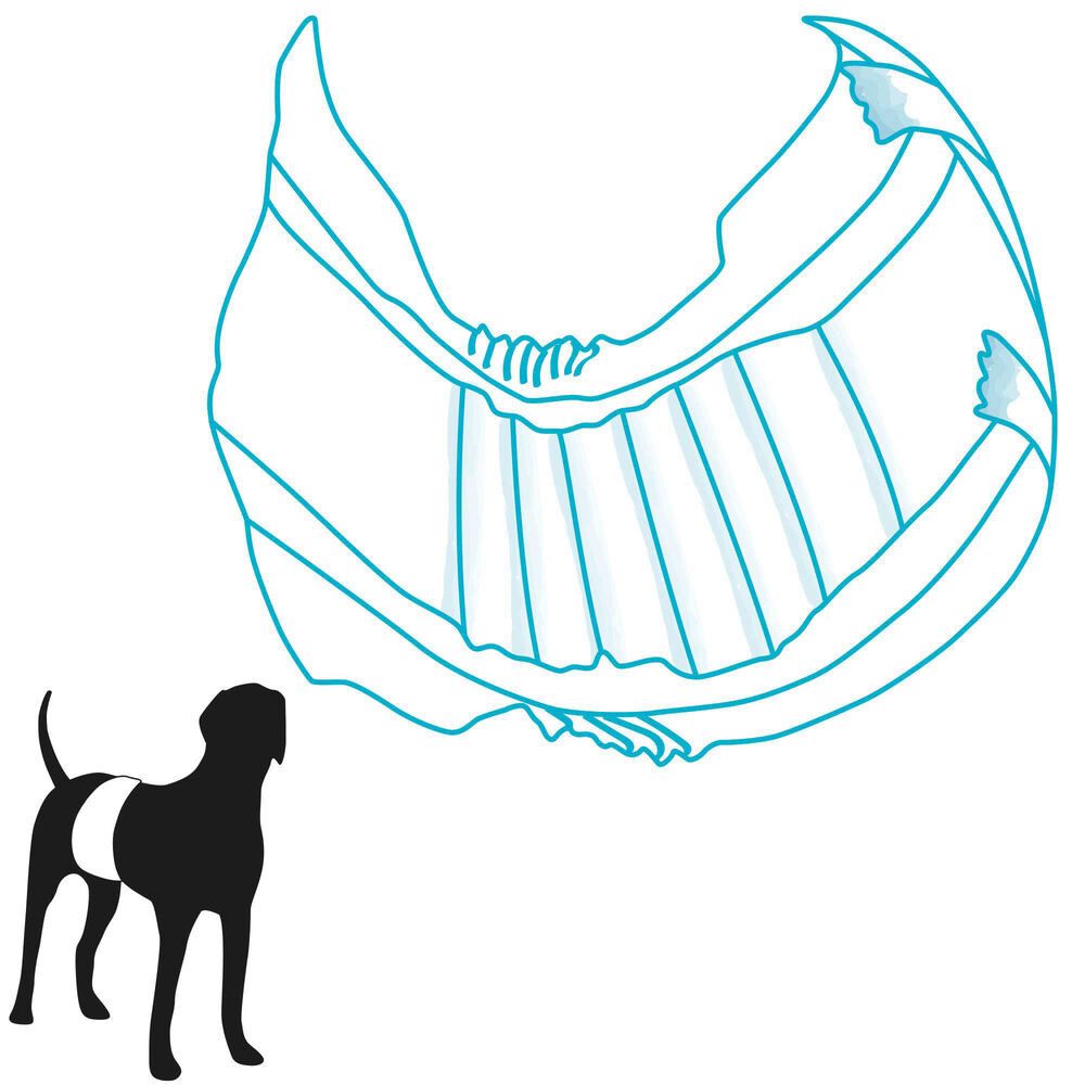 Nobby Windeln Nobby Rüdenwindeln - Einwegwindeln für den Hund (Packung, 12-St), für den Rüden