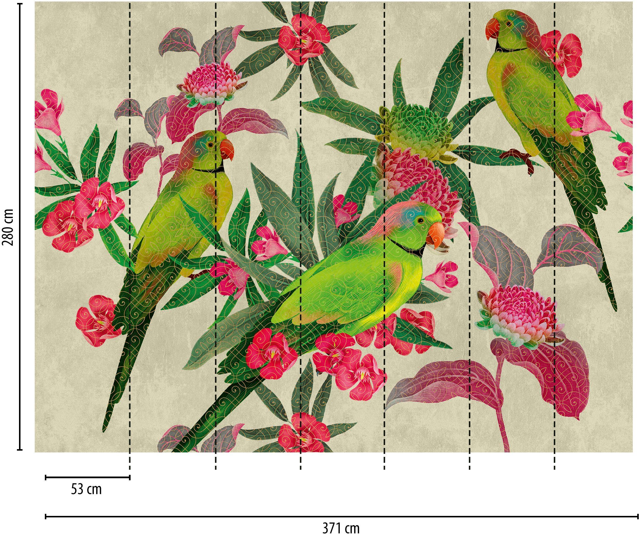 asiatisch, living walls Vögel floral, glatt, Wall, Grün Fototapete Motiv, Dschungel The Rot Fototapete Tapete Rosa