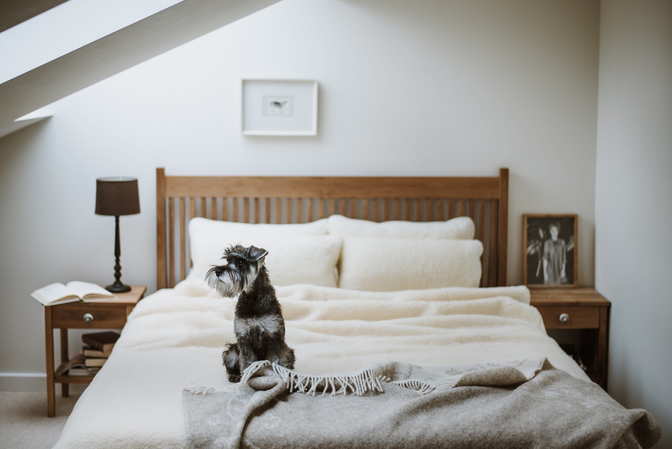 Wolldecke Wolldecke (Bettdecke) "Flaum" aus 100% Merinowolle, Wohnen und Ac günstig online kaufen
