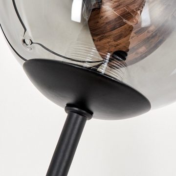 hofstein Stehlampe Stehlampe aus Metall/Glas in Schwarz/Rauchfarben/Klar, ohne Leuchtmittel, Leuchte mit Glasschirmen (10cm), dimmbar, 5x G9, ohne Leuchtmittel