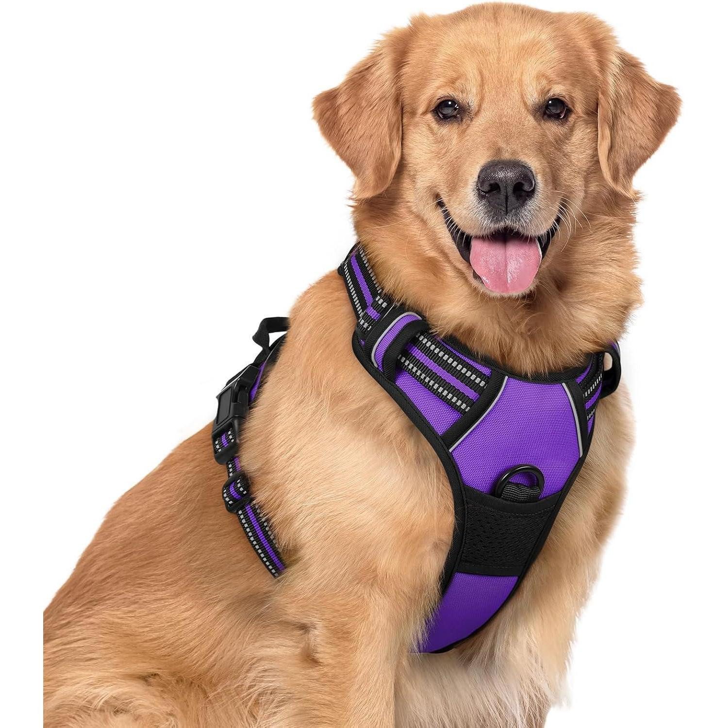 LuxusKollektion Autohundegeschirr Hundegeschirr Mittelgroß No Pull Reflexstreifen Lila XL 1er Pack