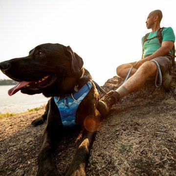 Ruffwear Hunde-Geschirr FRONT RANGE™ Harnes, Gepolstertes Geschirr für die alltäglichen Abenteuer.