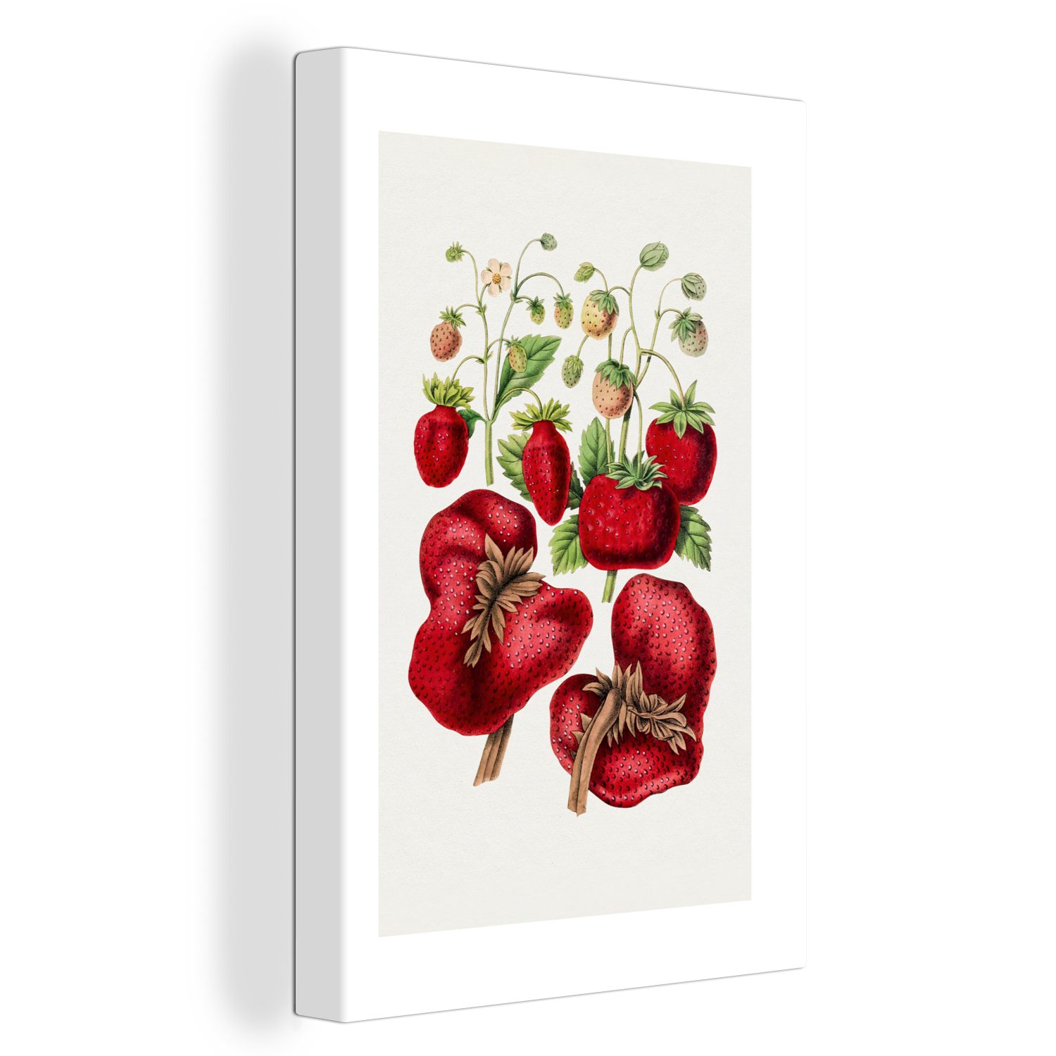 OneMillionCanvasses® Leinwandbild Lebensmittel - Erdbeeren - Obst, (1 St), Leinwandbild fertig bespannt inkl. Zackenaufhänger, Gemälde, 20x30 cm