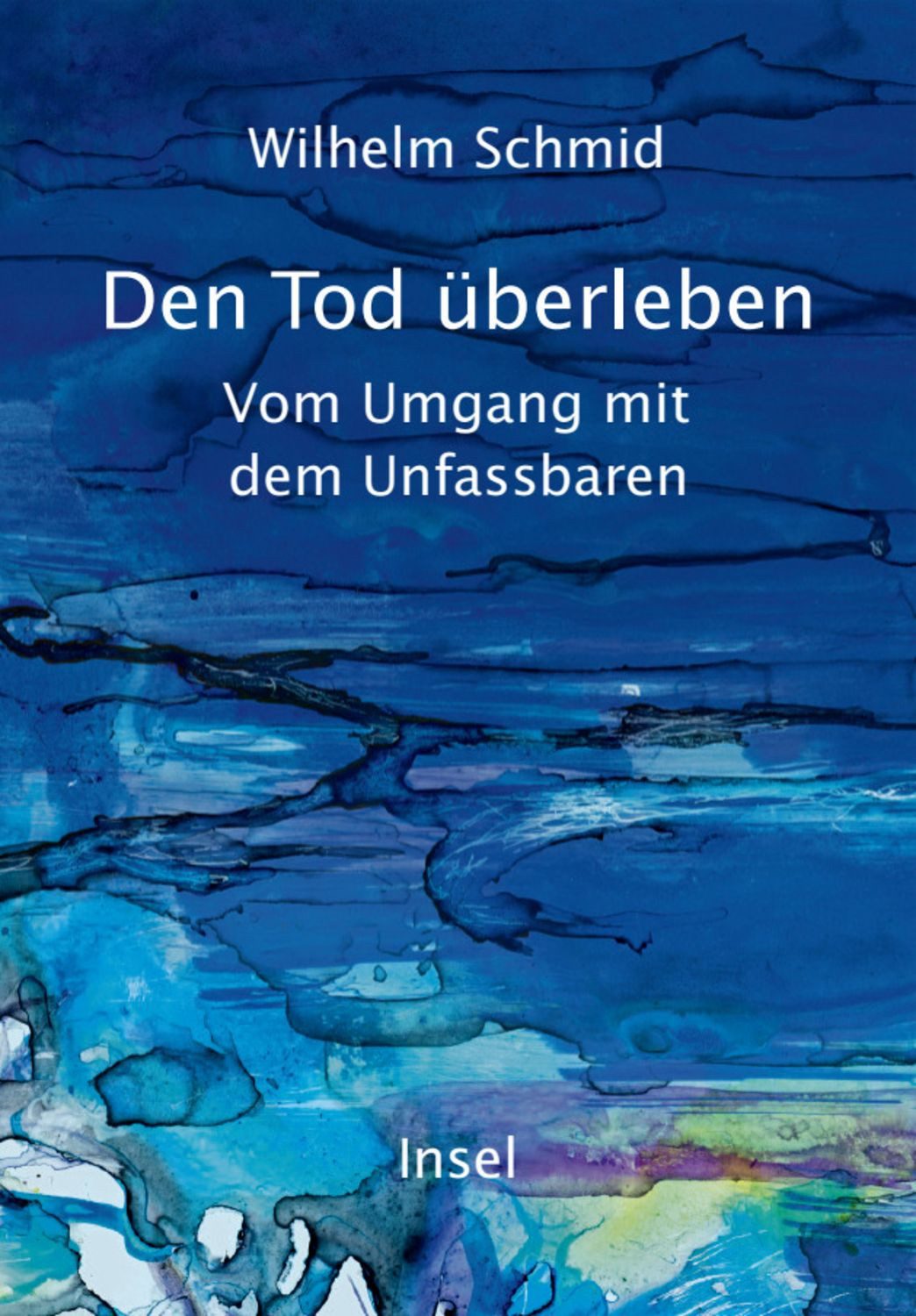 Den Tod überleben / Wilhelm Schmid