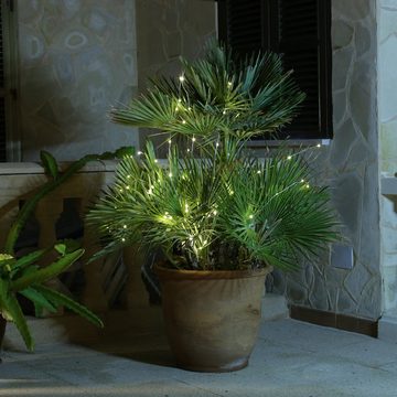 MARELIDA LED-Lichterkette LED Draht Lichtbündel Pflanzenbeleuchtung Blumenstrauß 8 Stränge 40cm, 40-flammig