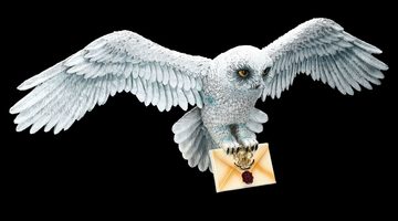 Figuren Shop GmbH Wanddekoobjekt Wandrelief Harry Potter - Eule Hedwig - Wanddeko Fantasy Dekoration Merchandise