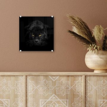 MuchoWow Acrylglasbild Panther - Tiere - Schwarz - Augen, (1 St), Glasbilder - Bilder auf Glas Wandbild - Foto auf Glas - Wanddekoration