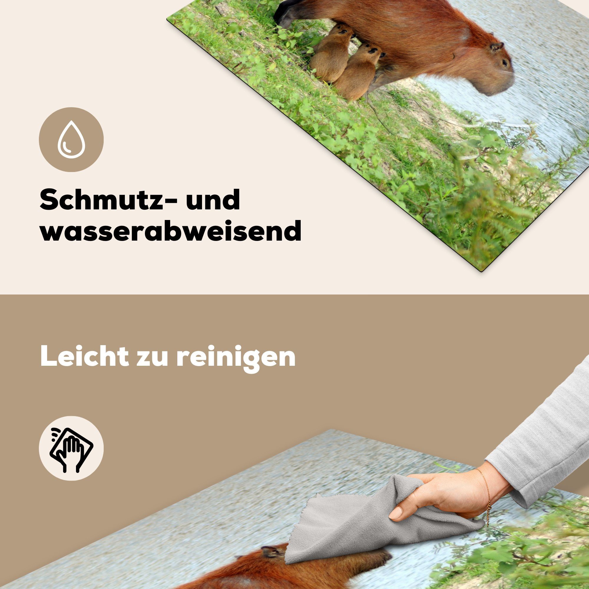 Nähe Wasserschwein 81x52 tlg), zwei Jungtieren Ein Vinyl, des Ceranfeldabdeckung in der Schutz die für Herdblende-/Abdeckplatte cm, mit küche, Induktionskochfeld (1 Wassers, MuchoWow