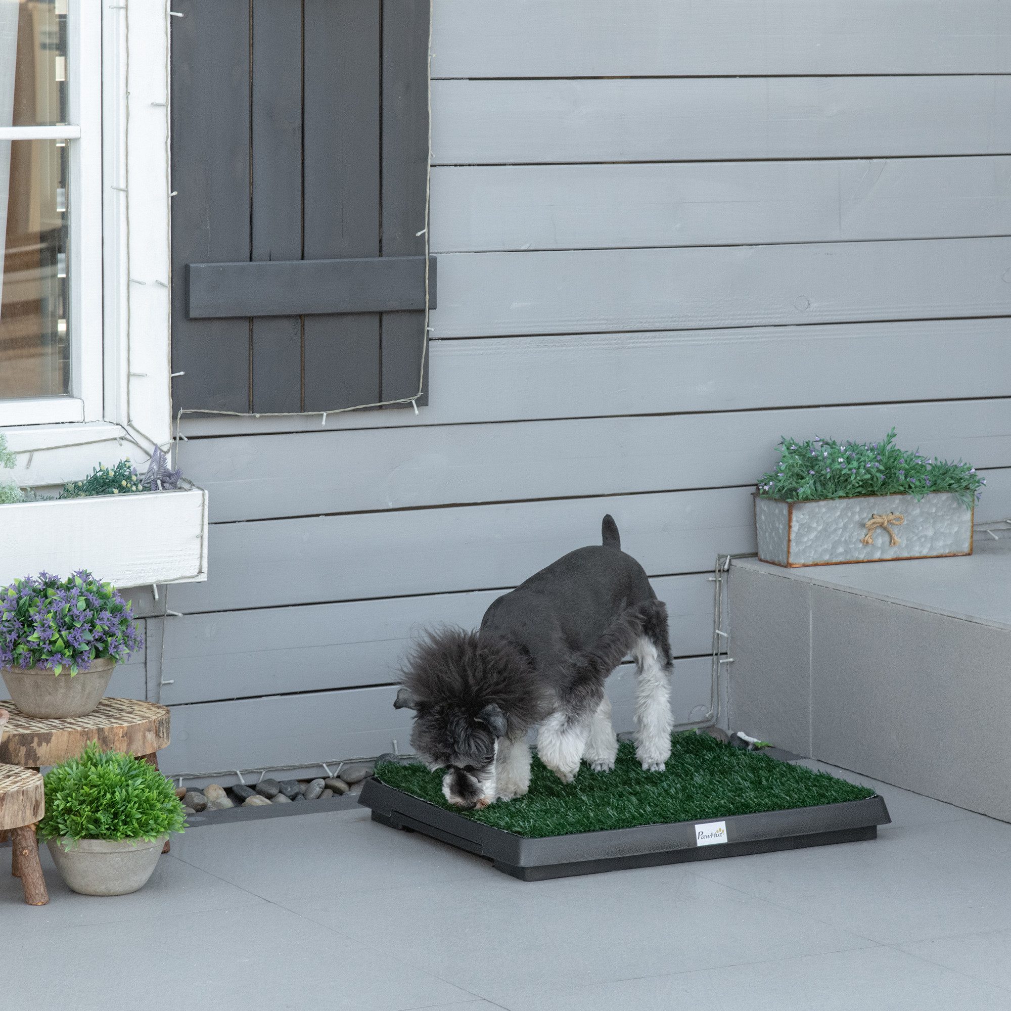 PawHut Hundetoilette Welpentoilette, Grün+Schwarz 63 x 51 x 6 cm