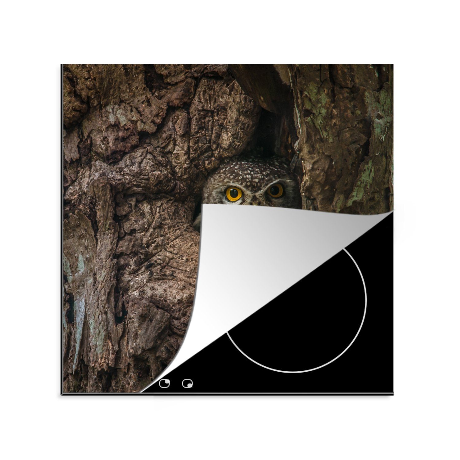 Vögel, Ceranfeldabdeckung, tlg), (1 für cm, - MuchoWow Eulen Herdblende-/Abdeckplatte - küche 78x78 Arbeitsplatte Vinyl, Baum