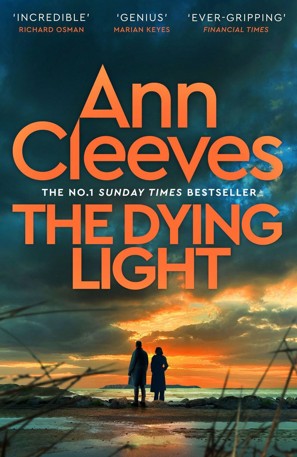 The Dying Light / Ann Cleeves