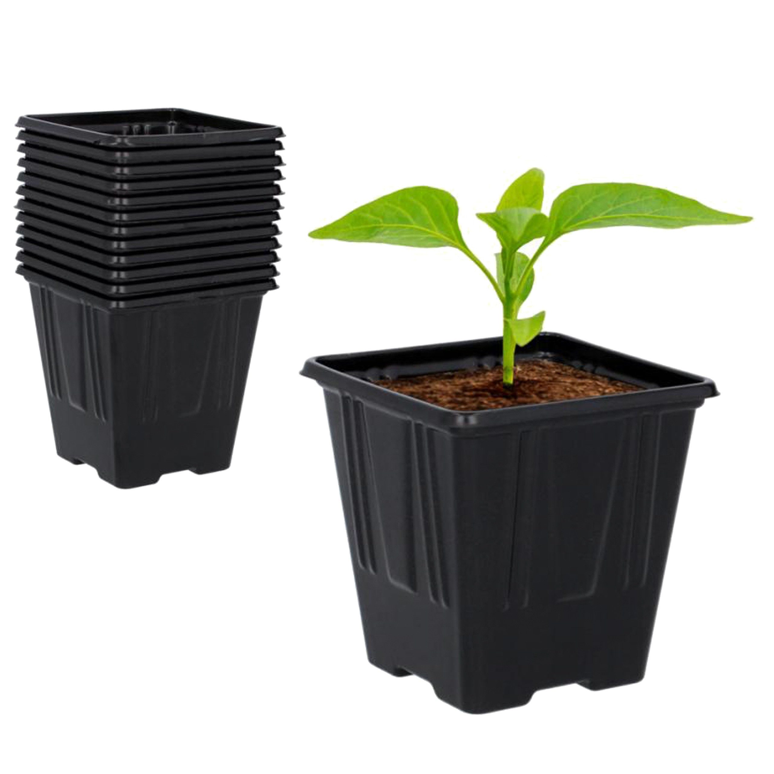 Sarcia.eu Blumentopf Plastiktöpfe für Setzlinge 7x7x8 cm, 12 Stk
