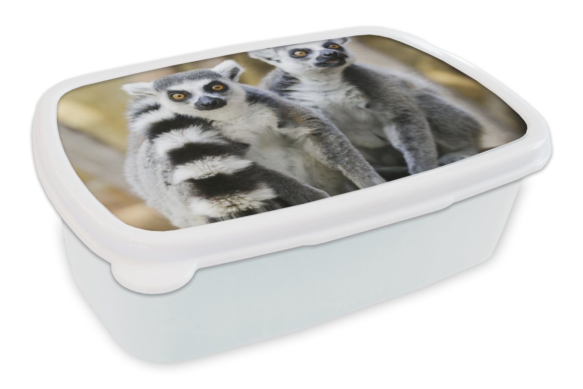 MuchoWow Lunchbox Affe - Ringschwanzlemur - Tier, Kunststoff, (2-tlg), Brotbox für Kinder und Erwachsene, Brotdose, für Jungs und Mädchen weiß