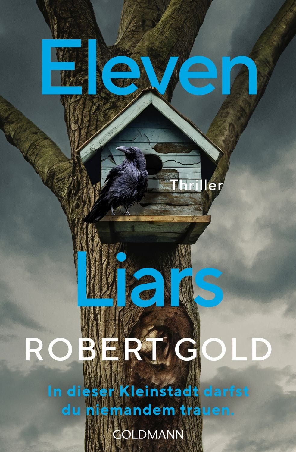 Eleven Liars / Robert Gold, In dieser Kleinstadt darfst du niemandem trauen. - Thriller