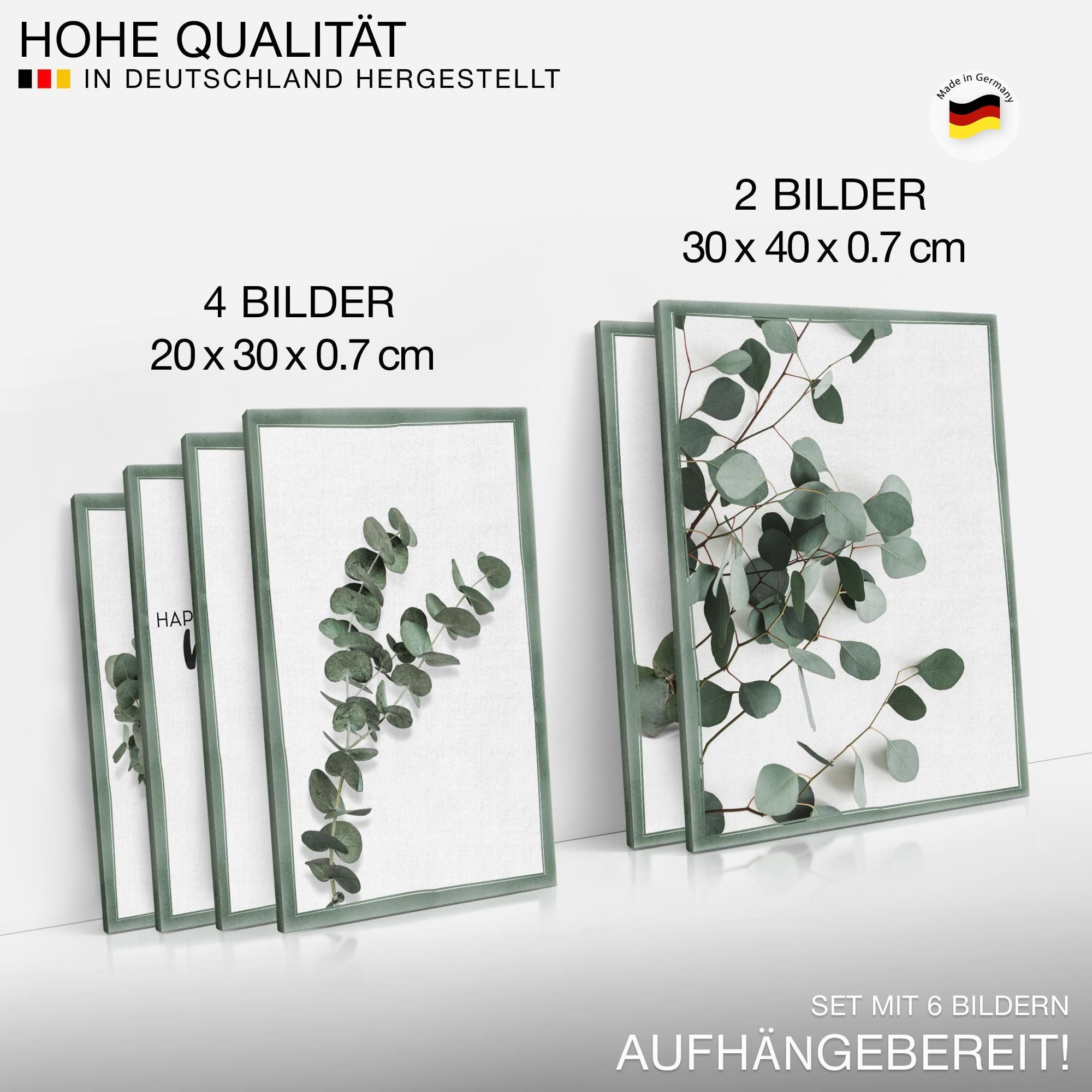 Novart Wandbild Eukalyptus Pflanze Grüne Blätter - KEIN EXTRA RAHMEN BENÖTIGT