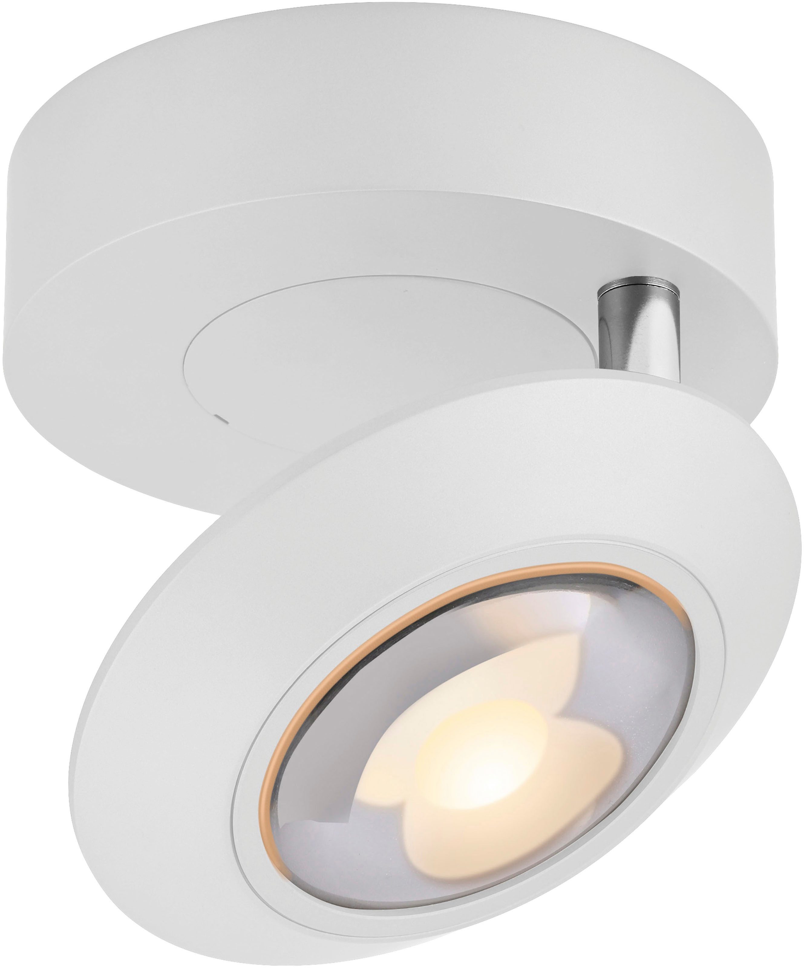Neuhaus PURE LED Deckenleuchte PURE Oculis, LED fest integriert, Warmweiß, Dimmfähig über separaten Tronicdimmer, dreh- & schwenkbar