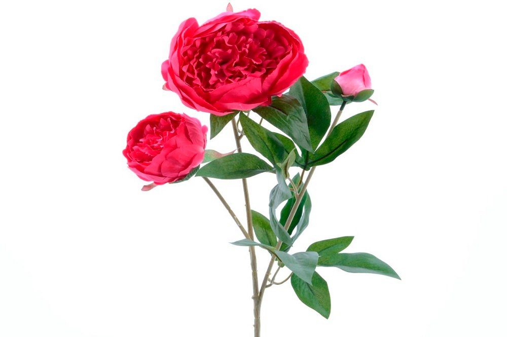 Kunstblume Seiden-Pfingstrose 3blütig rosa, Kaemingk