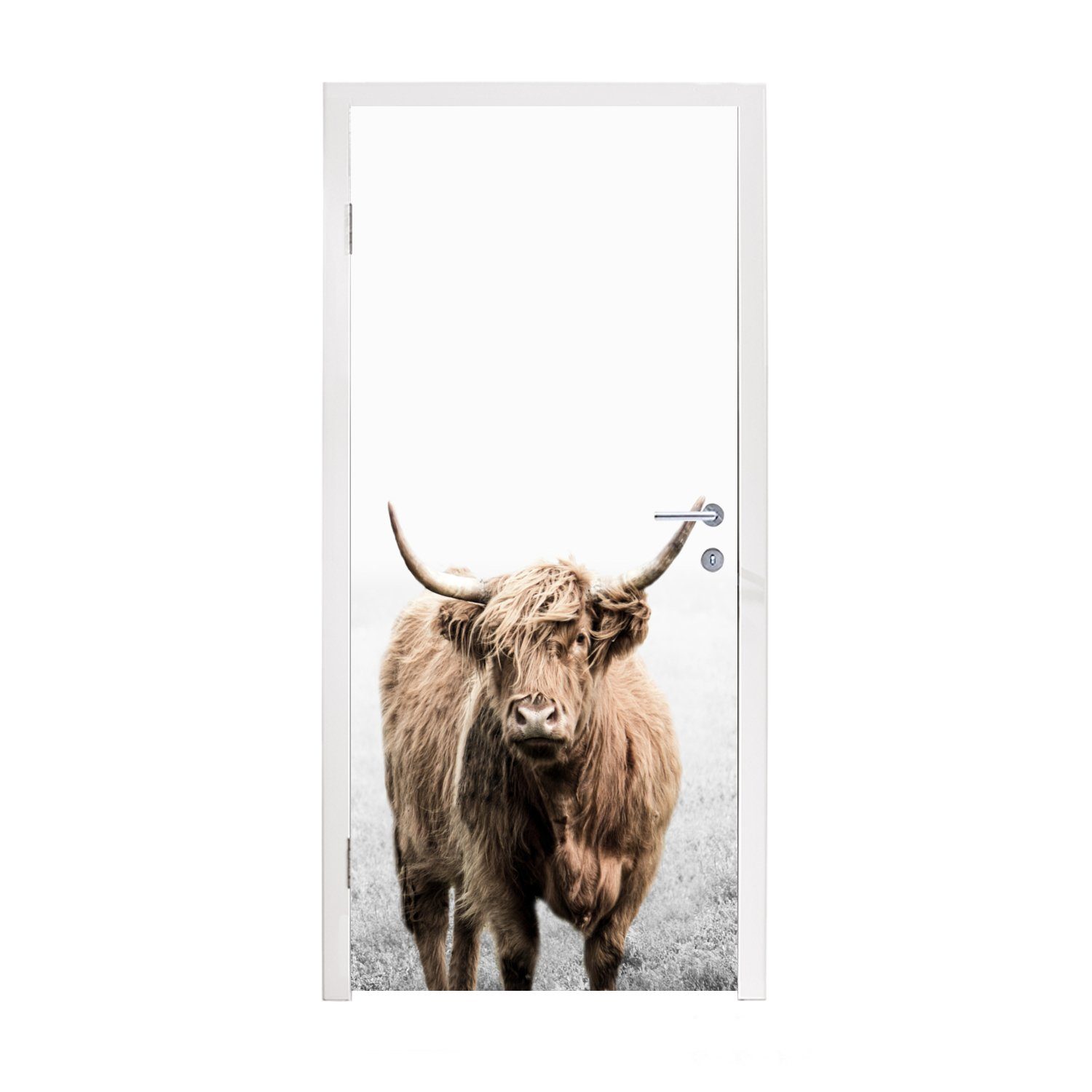 cm - Türaufkleber, Highlander 75x205 - MuchoWow St), Kuh, Türtapete Tür, für bedruckt, Fototapete Matt, Vlies Schottischer (1