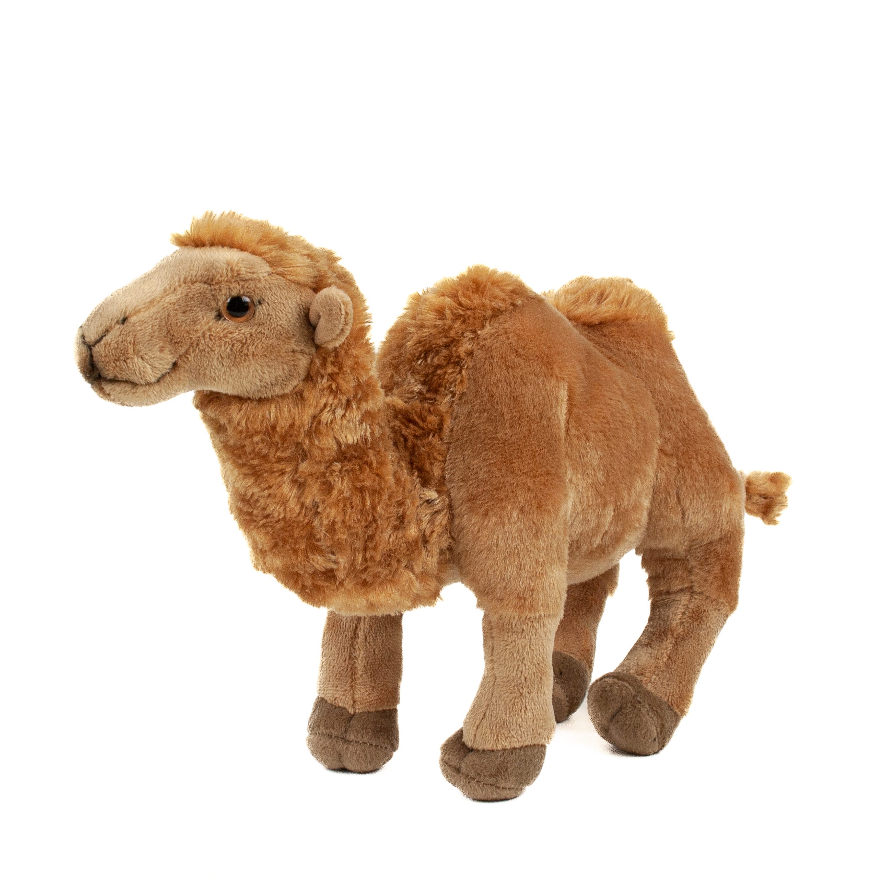 Teddys Rothenburg Kuscheltier Kamel stehend 24 cm Plüschkamel