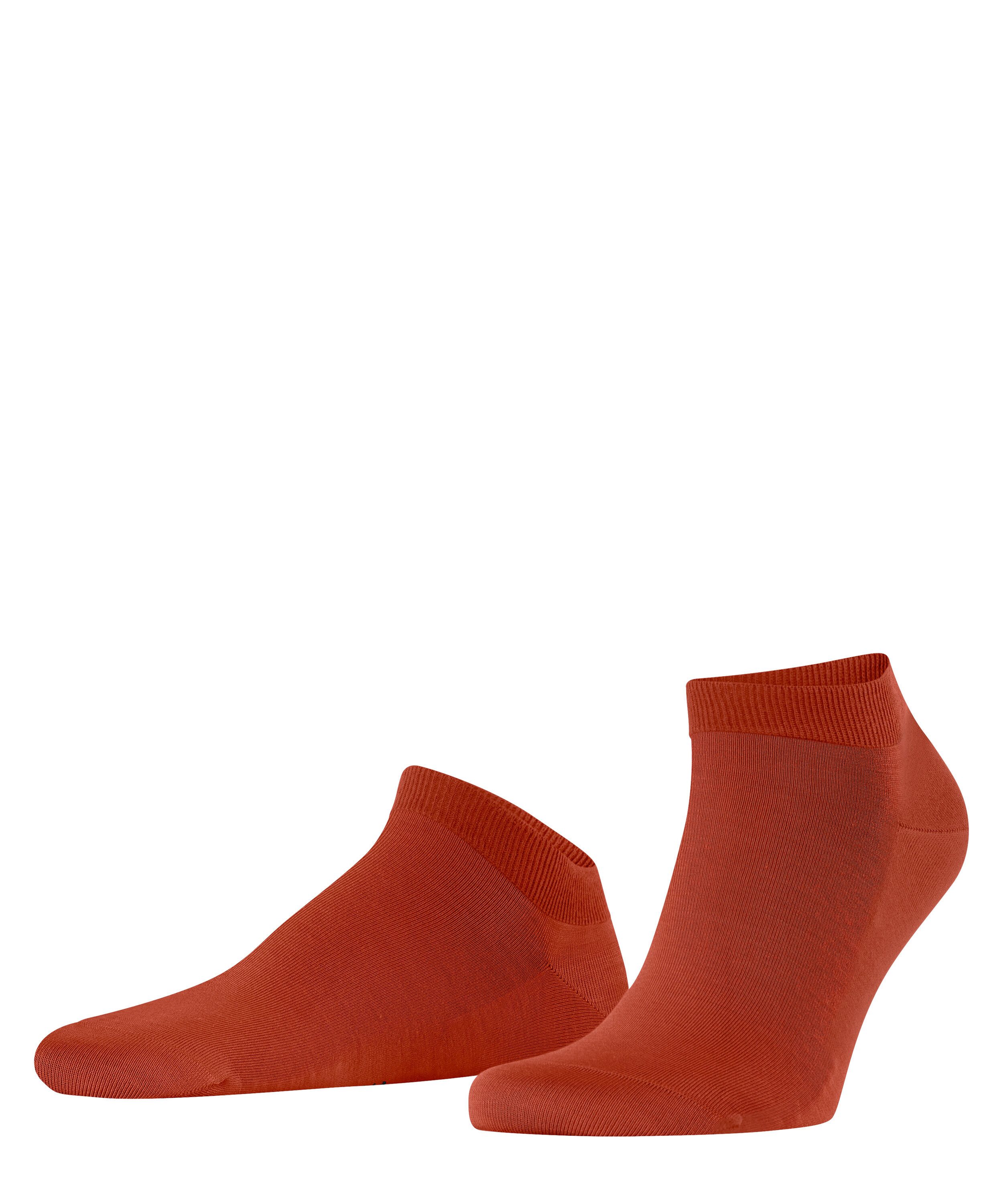 red clay (8095)