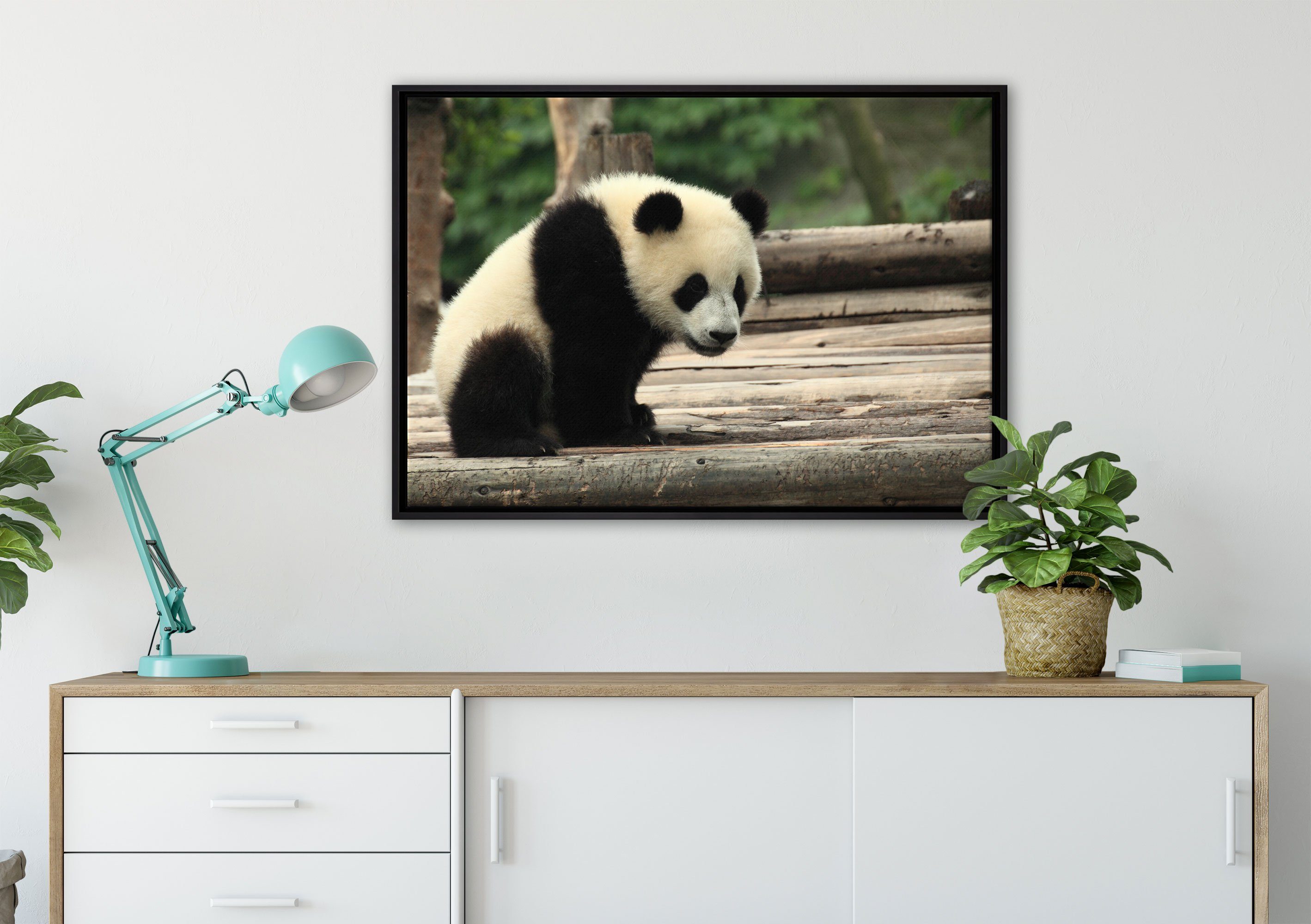 fertig Pixxprint St), Wanddekoration Panda Leinwandbild bespannt, Schattenfugen-Bilderrahmen Holzstämmen, Leinwandbild auf in gefasst, inkl. Zackenaufhänger einem (1