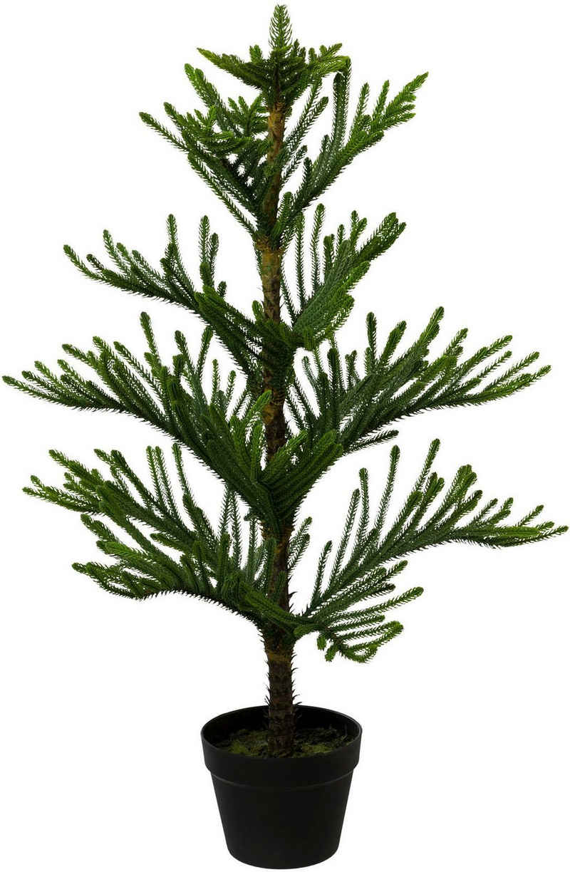 Kunstpflanze Araucarienbaum, Creativ green, Höhe 98 cm, im Kunststofftopf