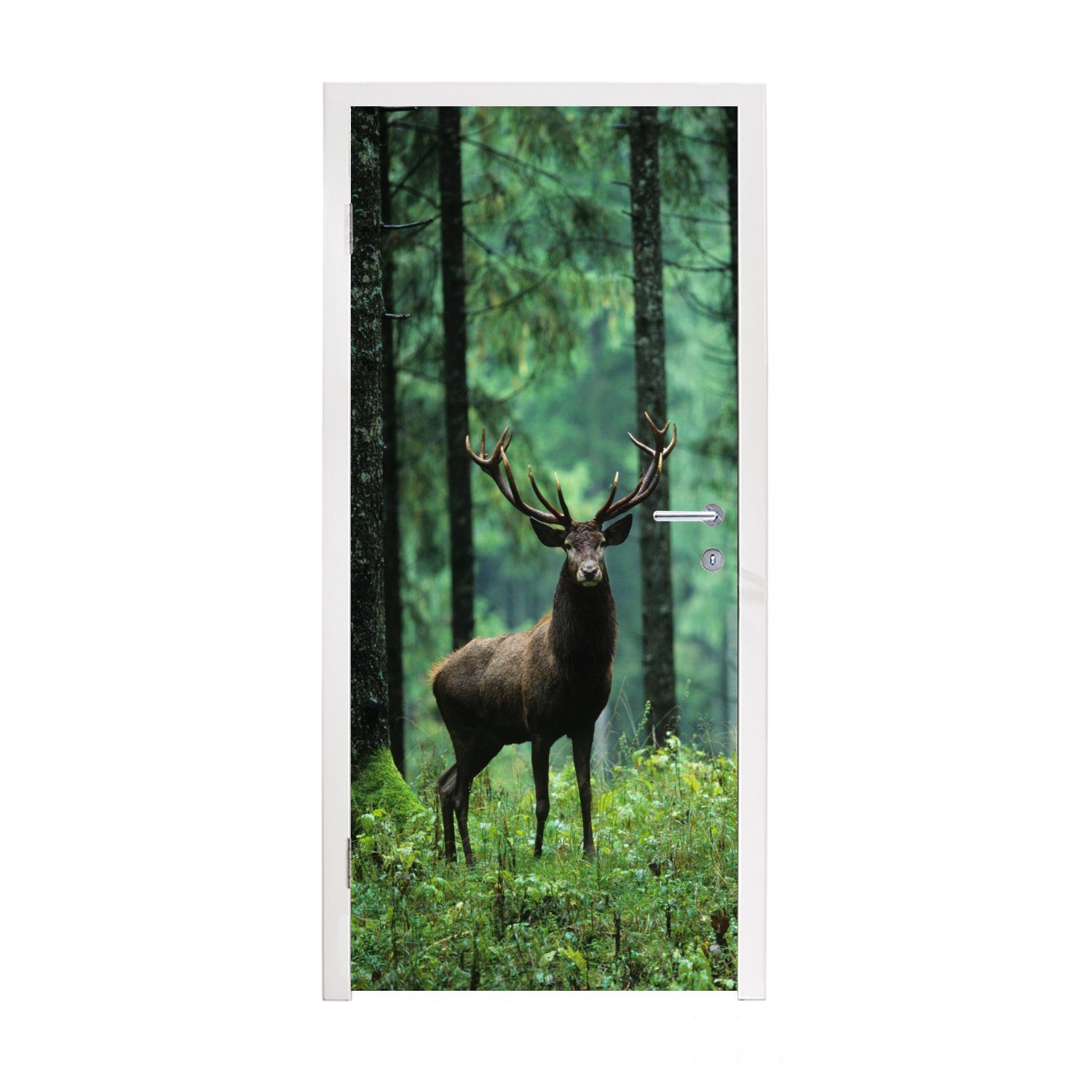 MuchoWow Türtapete Hirsche - Wald - Bäume - Tiere - Natur, Matt, bedruckt, (1 St), Fototapete für Tür, Türaufkleber, 75x205 cm
