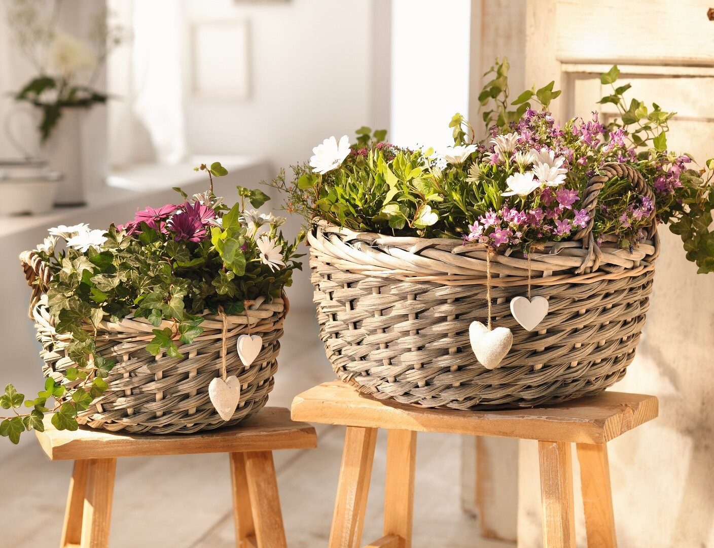 Dekoleidenschaft Pflanzschale Pflanzkörbe aus Weide, grau, Pflanztopf, Blumenschale mit Deko-Herzen (2 St., im Set), Blumenkorb, Weidenkorb, Pflanzgefäß, Tischd – Bild 5 von 5