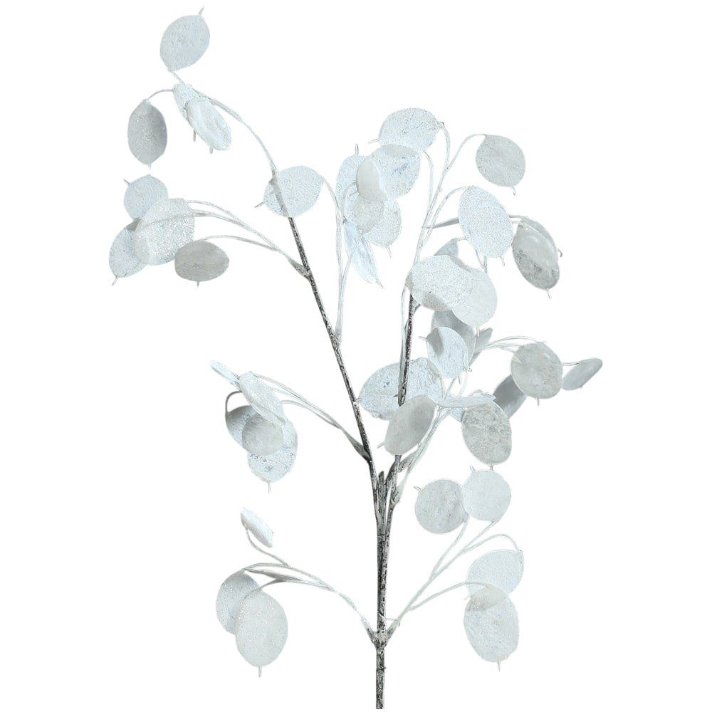 Kunstblume Kunstzweig Silberblatt Lunaria Kunststoff weiß Glimmer 1 Stk 73 cm Lunaria, matches21 HOME & HOBBY, Höhe 0 cm