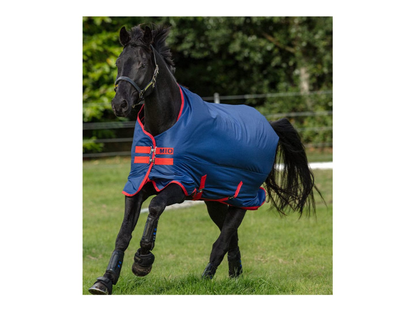 Horseware Ausreitdecke Outdoordecke Mio Turnout Lite 0g