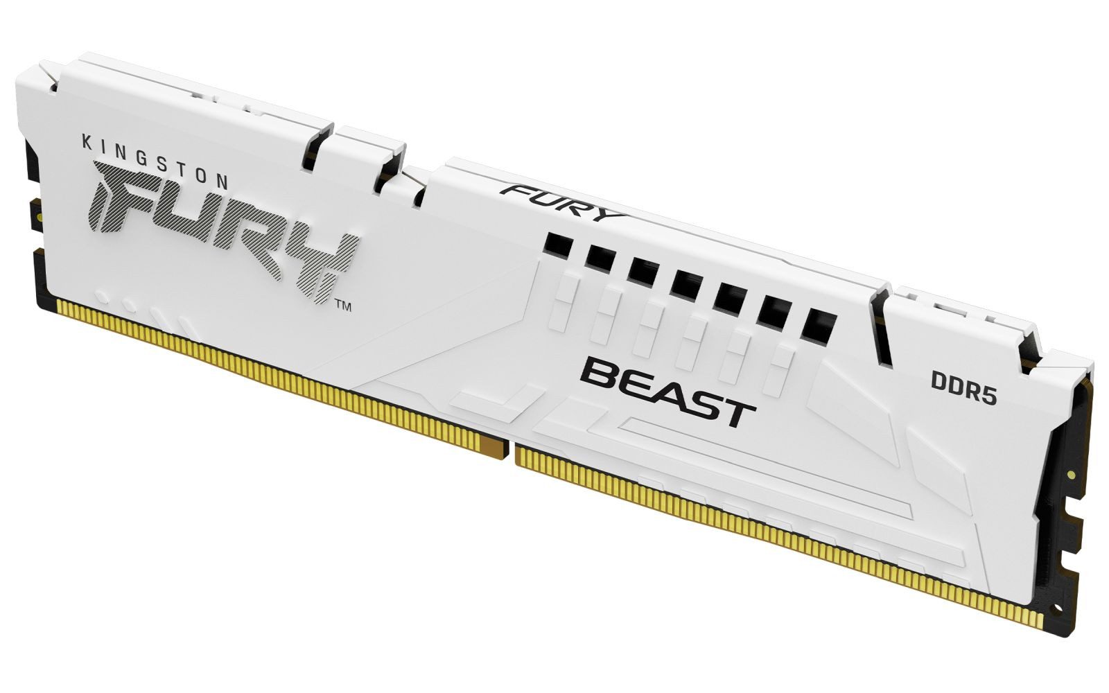 Kingston FURY Beast - DDR5 - Modul - 16 GB - DIMM 288-PIN PC-Arbeitsspeicher