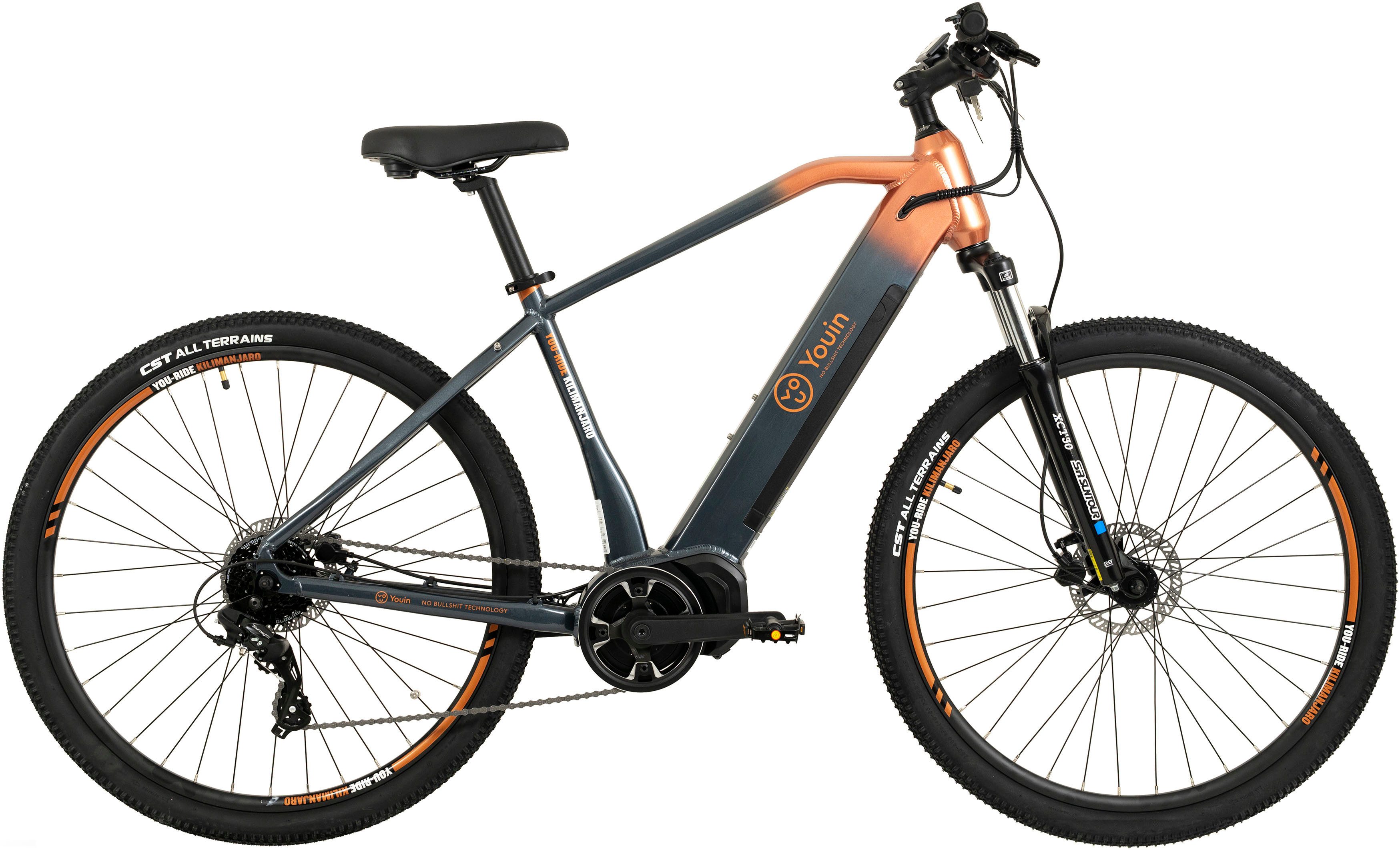E-Bike Mountainbike FJ-M