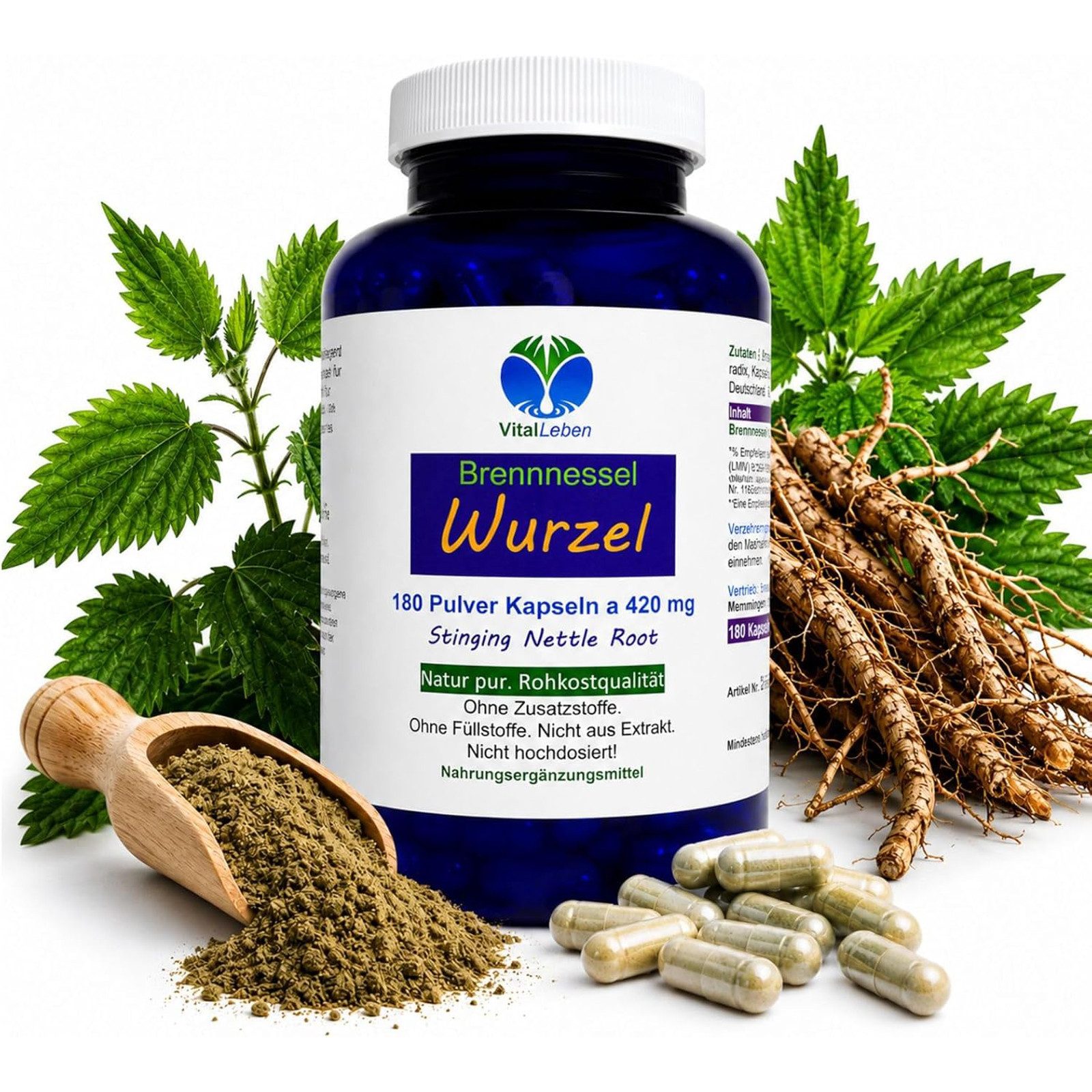 VitalLeben Brennnesselwurzel nach Hildegard von Bingen ohne Zusatzstoffe Kapseln, 1 er Dose à 180 St., 75,6 g, Art. 26950-180