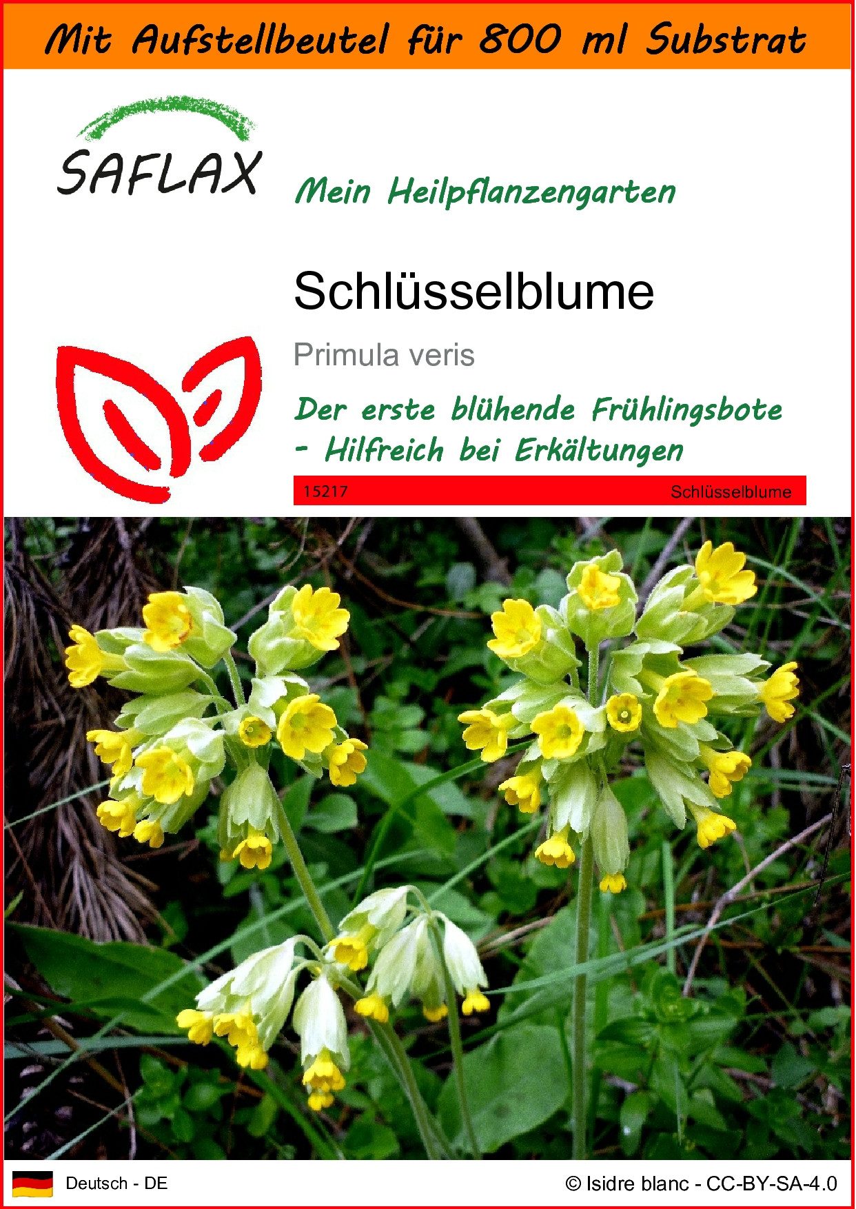 Blumensamen SAFLAX - Garden in the bag - Schlüsselblume