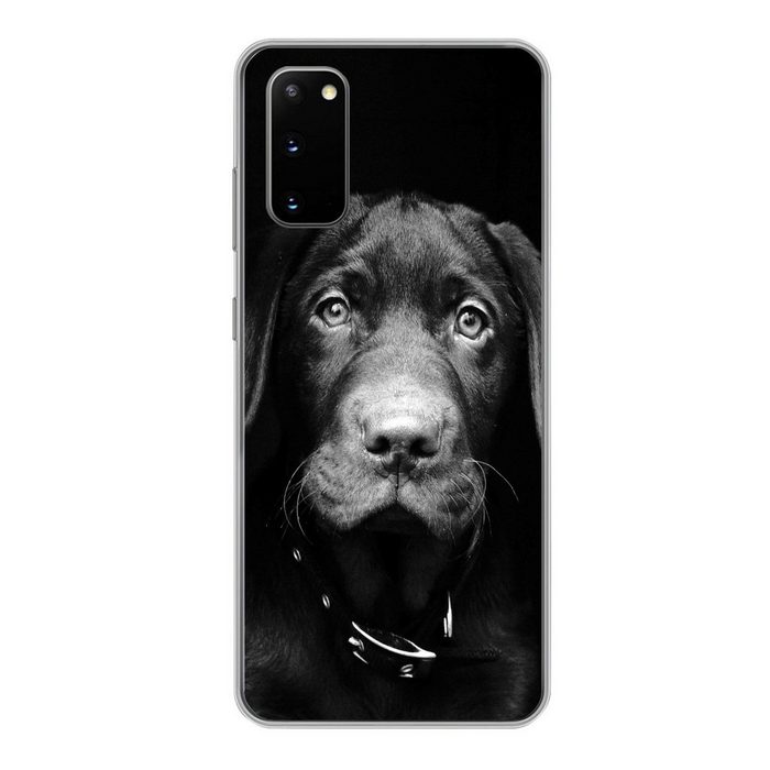 MuchoWow Handyhülle Nahaufnahme Labrador Welpe vor schwarzem Hintergrund in schwarz und Phone Case Handyhülle Samsung Galaxy S20 Silikon Schutzhülle