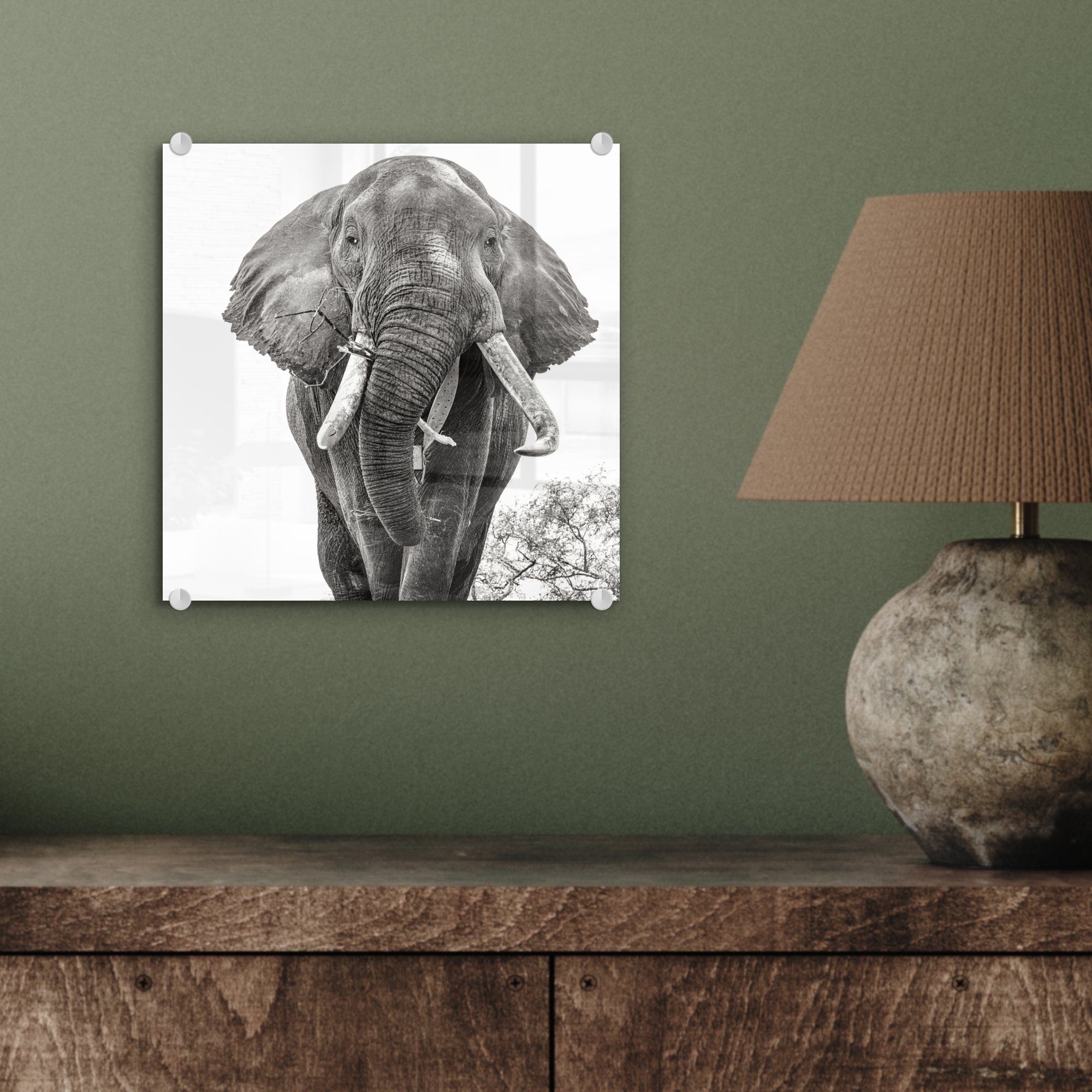 auf Bilder - Glas Elefant weiß, Schwarz auf Foto - (1 Tiere - Wanddekoration und Wandbild Porträt - - Acrylglasbild Glas MuchoWow - St), Glasbilder