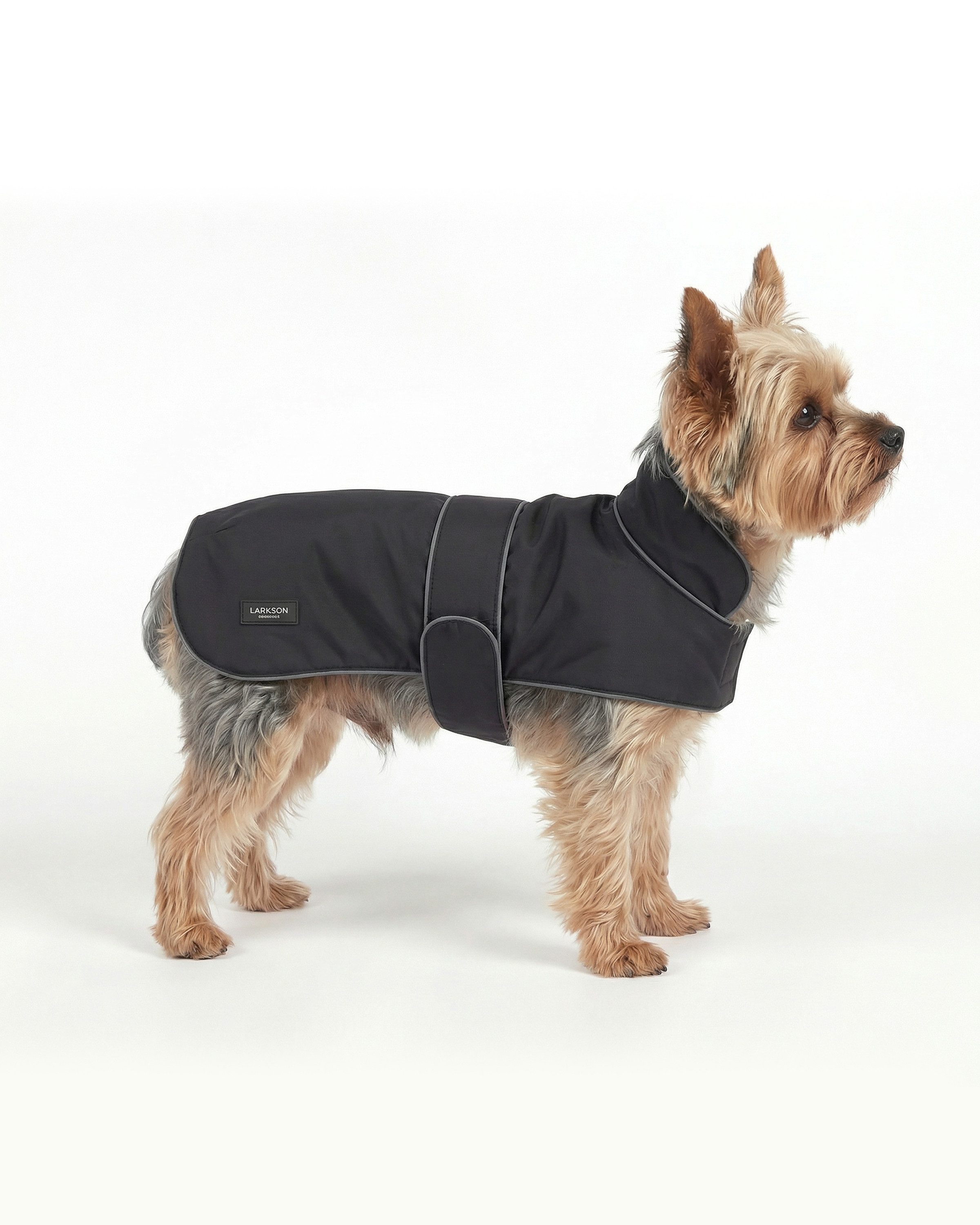 LARKSON Hunderegenmantel Jonte Regenmantel für Hunde, Regenjacke für kleine bis mittlere Hunde, Reflektierend