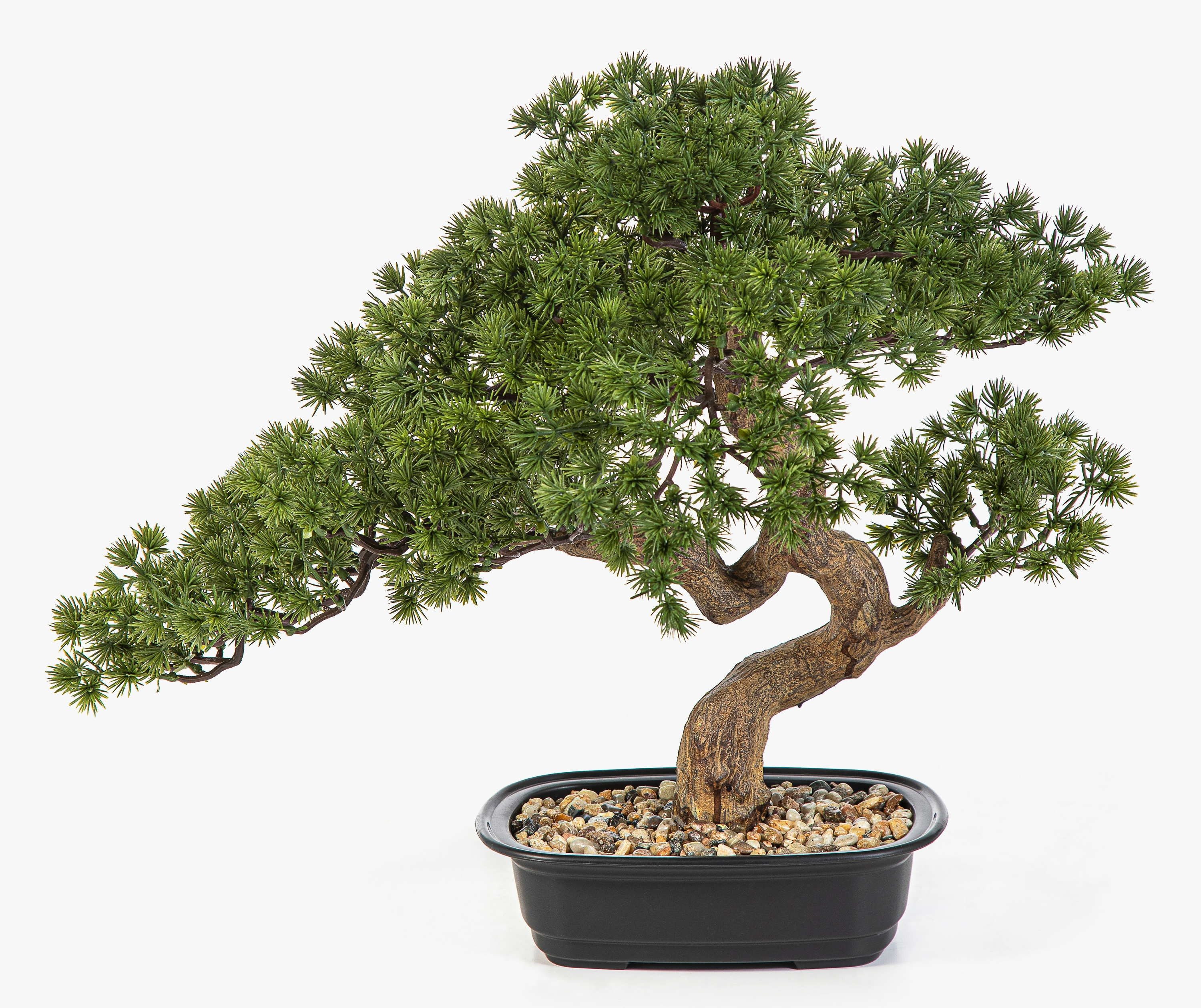 Kunstbonsai Künstlicher Bonsai Kanya in Pflanzschale, 45cm Pinie, artplants