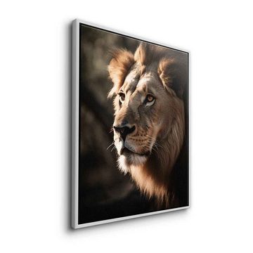 DOTCOMCANVAS® Leinwandbild Lion, Leinwandbild Lion Löwe Afrika Natur Tier Safari hochkant