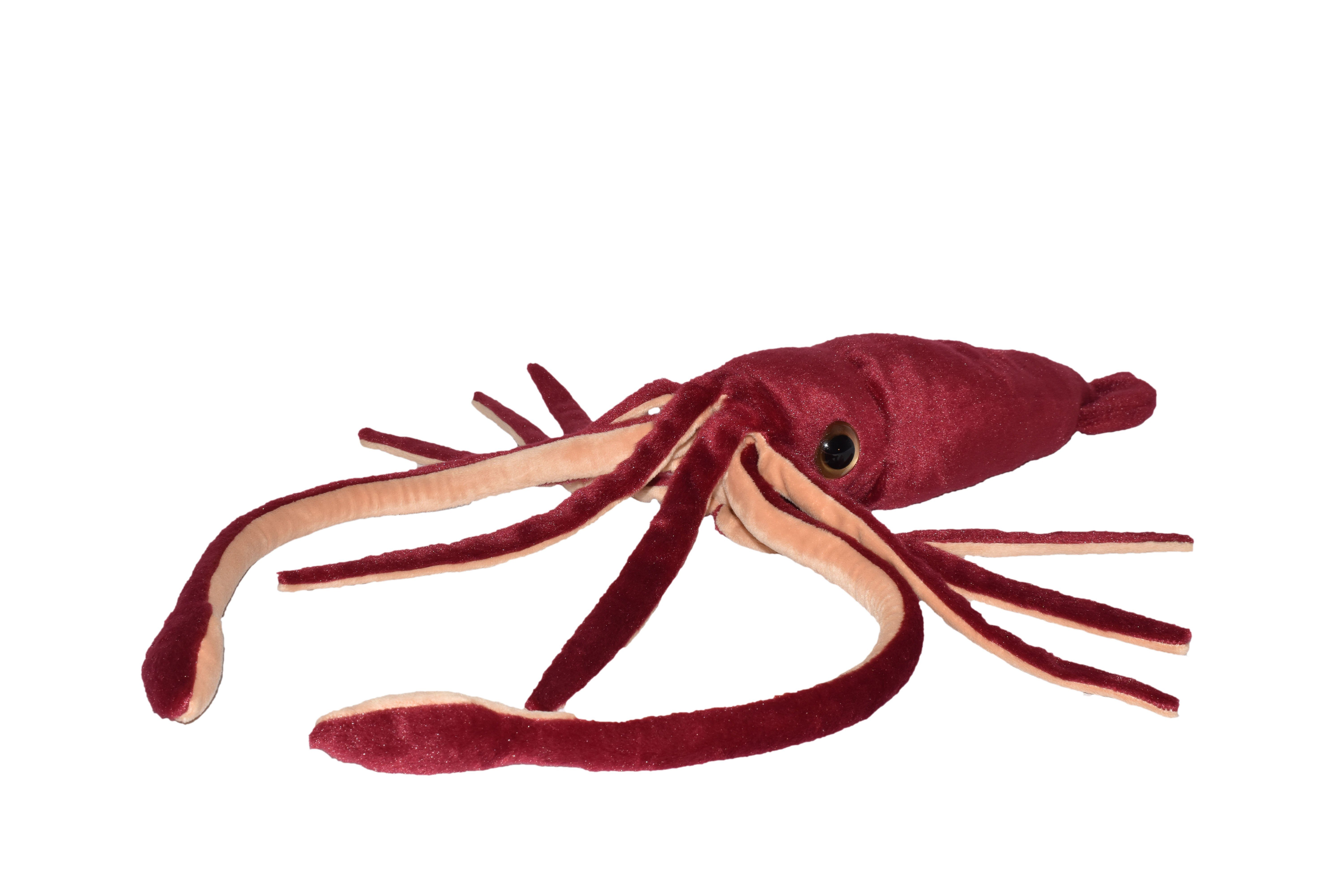 WILD REPUBLIC    Kuscheltier Wild Republic - Kuscheltier - Plush - Riesenkalmar