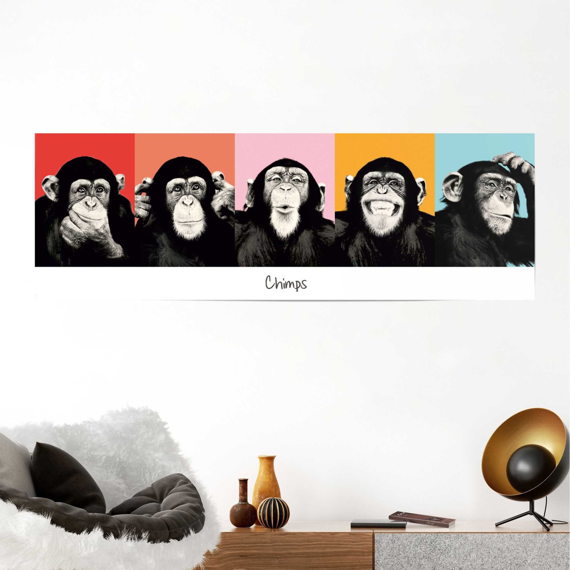 Reinders! Poster »Schimpanse Pop«, (1 Stück)-HomeTrends