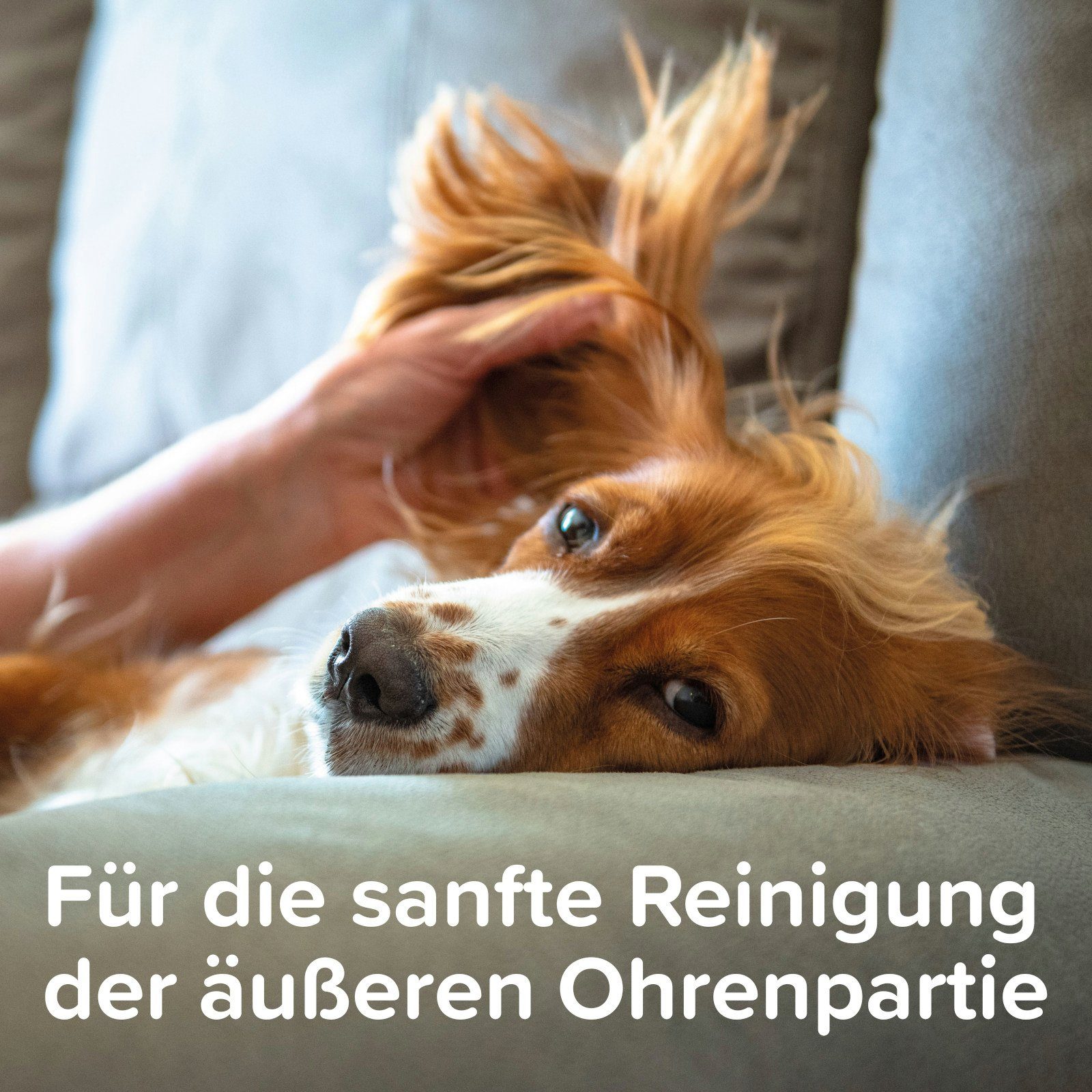 beaphar Ohrenreiniger Sensitiv Ohrenreiniger - 50 ml, Für Hunde & Katzen