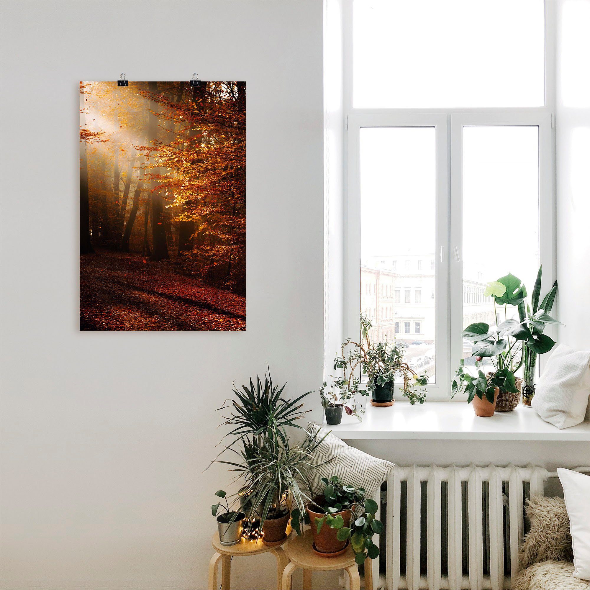 Artland Wandbild Sonnenaufgang im Herbst, Wald (1 St), als Leinwandbild, Poster in verschied. Größen